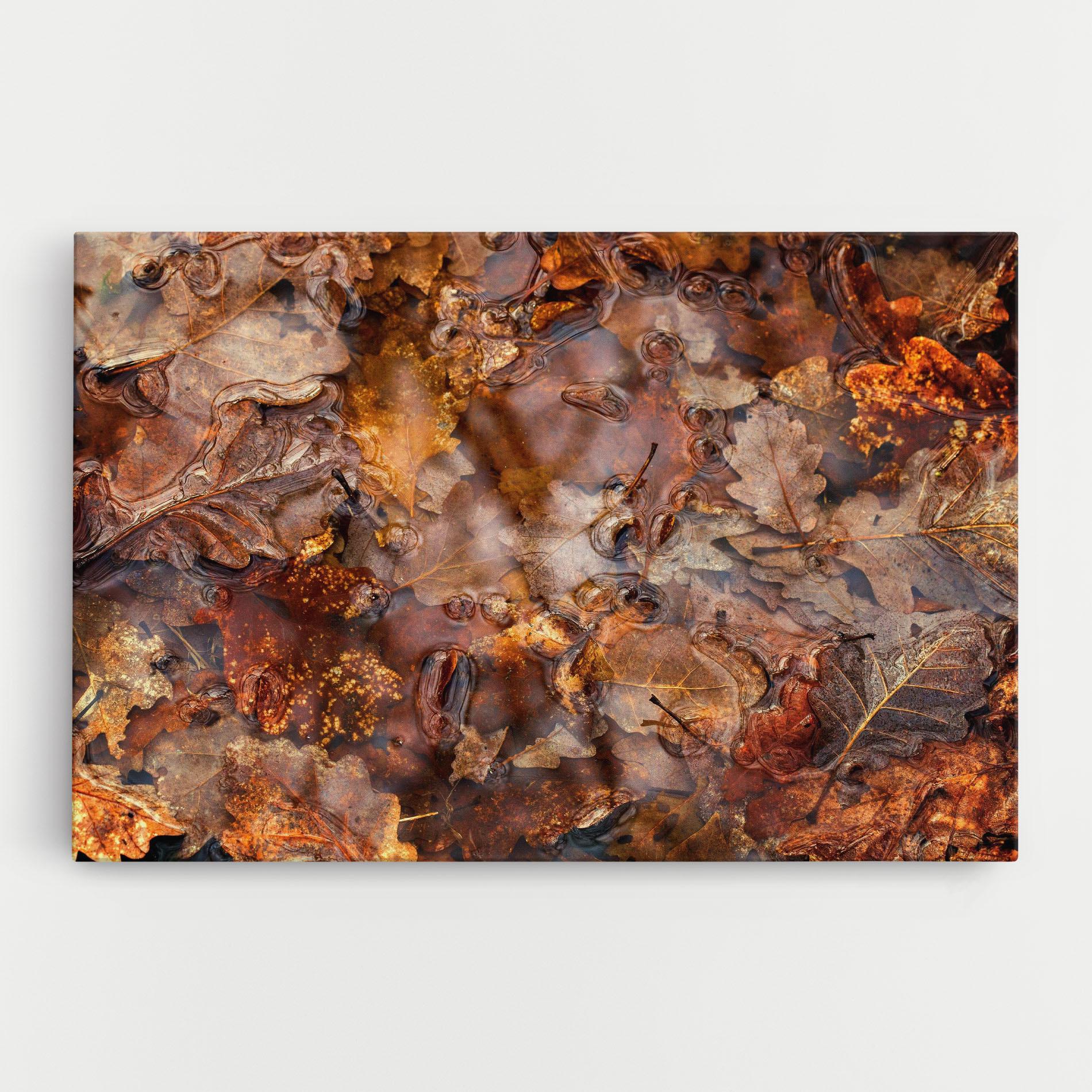 Tablou Canvas Brown mockup 0