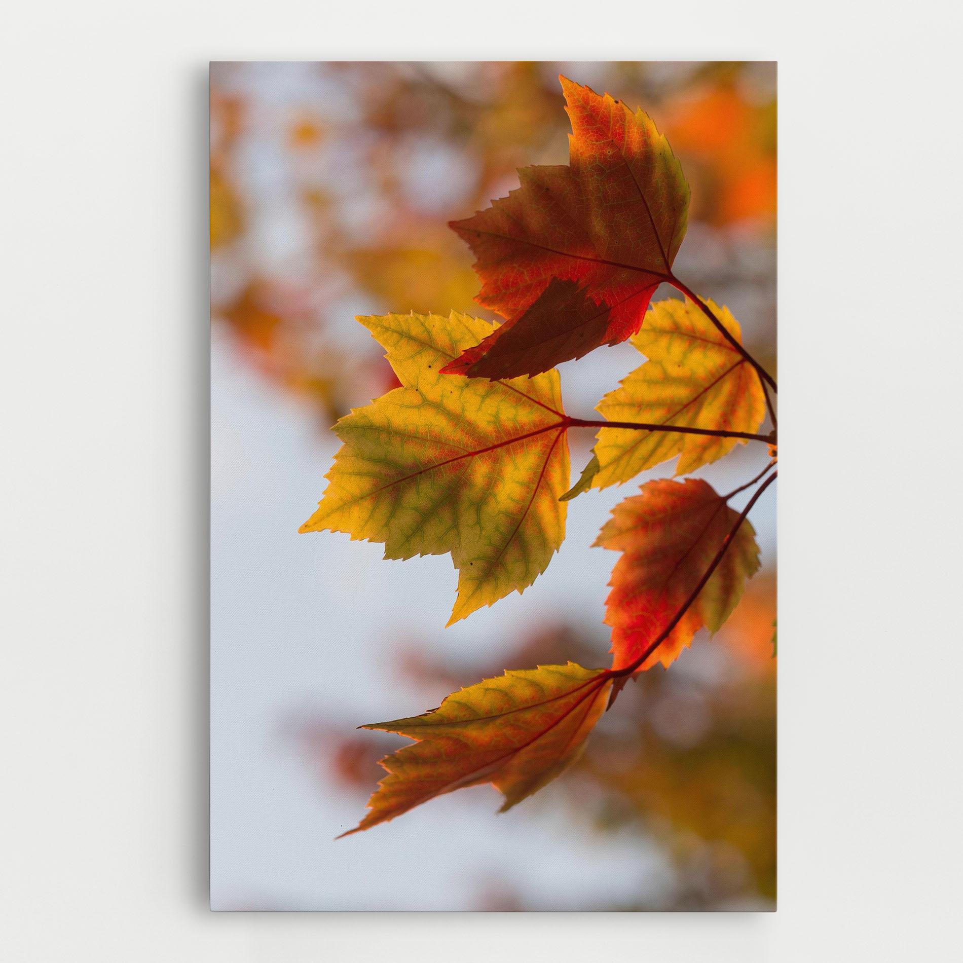 Tablou Canvas Red Yellow Autumn mockup 0