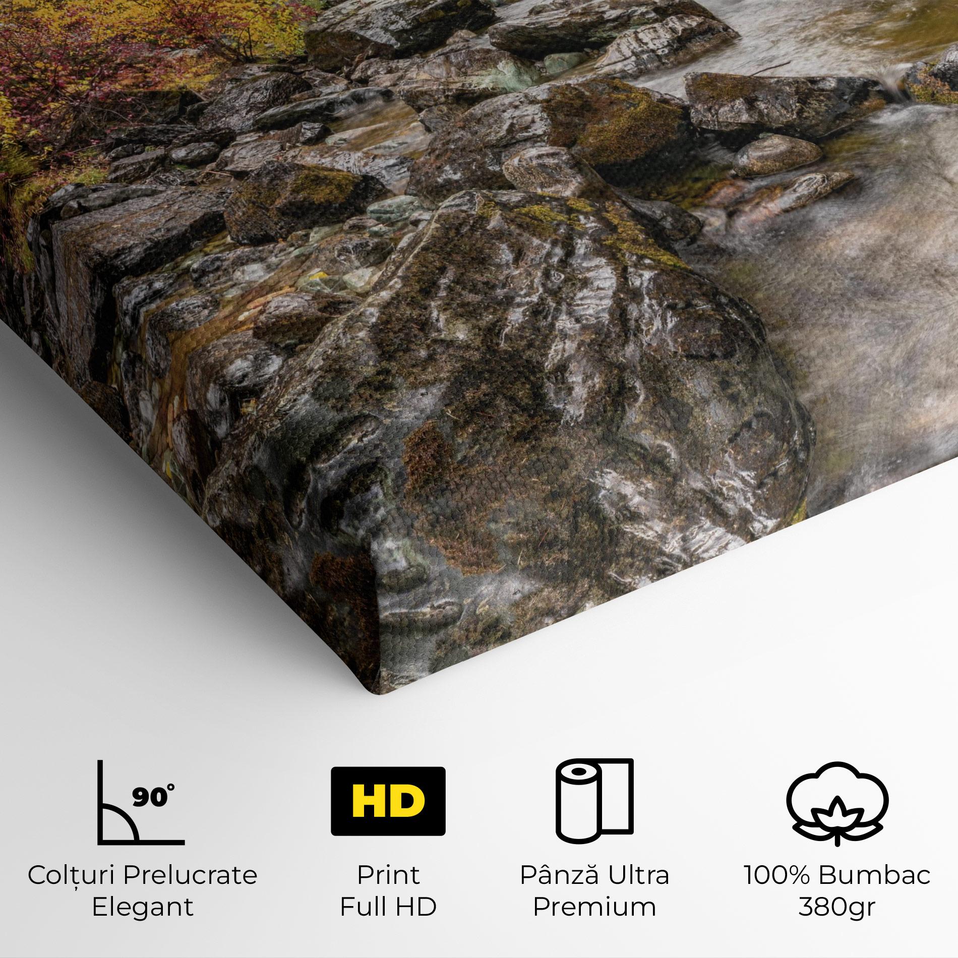 Tablou Canvas Autumn Stream mockup 4