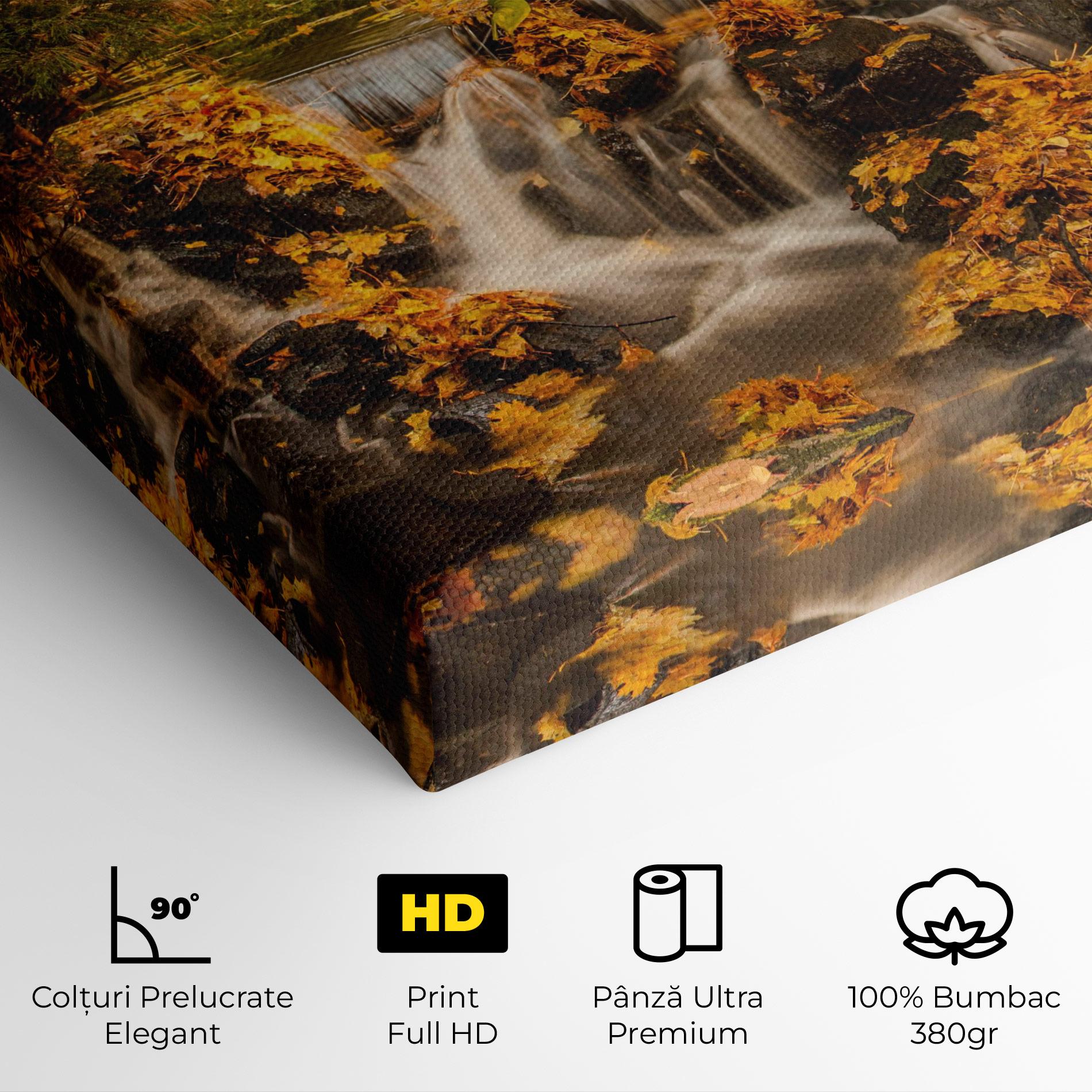Tablou Canvas Autumn Waterfall mockup 4