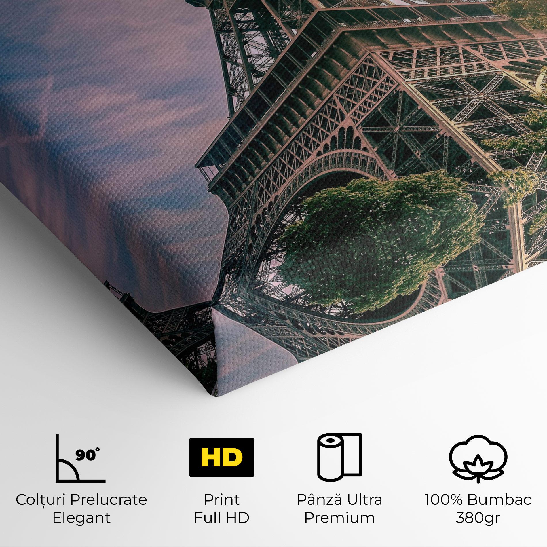 Tablou Canvas Eiffel Under Pink Sky mockup 4