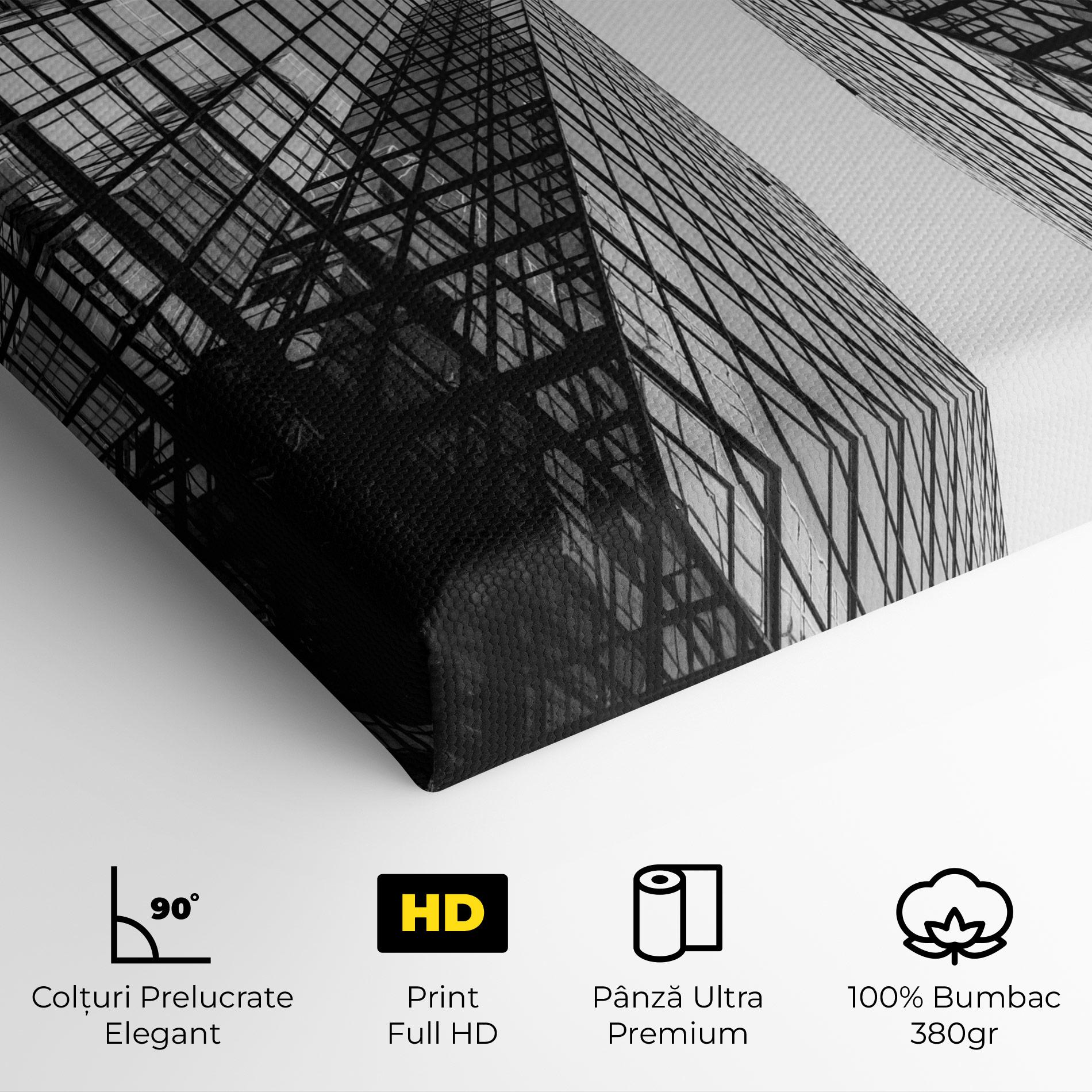 Tablou Canvas Plane Grey Building mockup 4