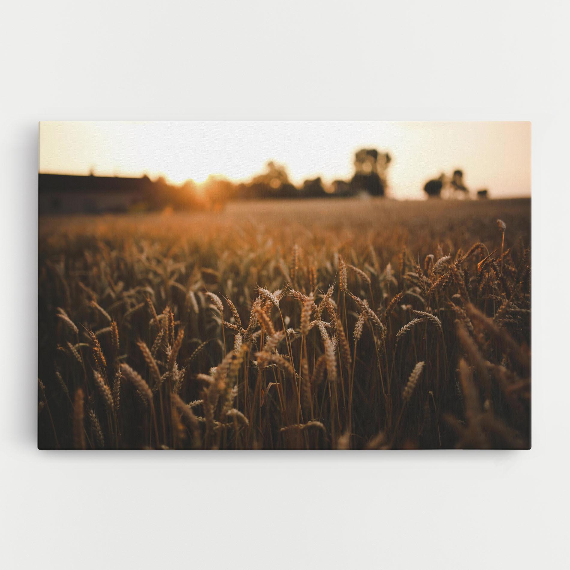 Tablou Canvas Summer Field mockup 0
