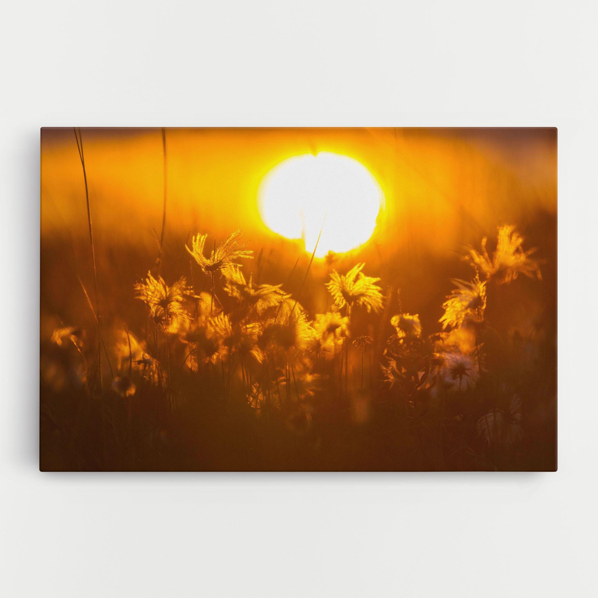 Tablou Canvas Wildflowers mockup 0