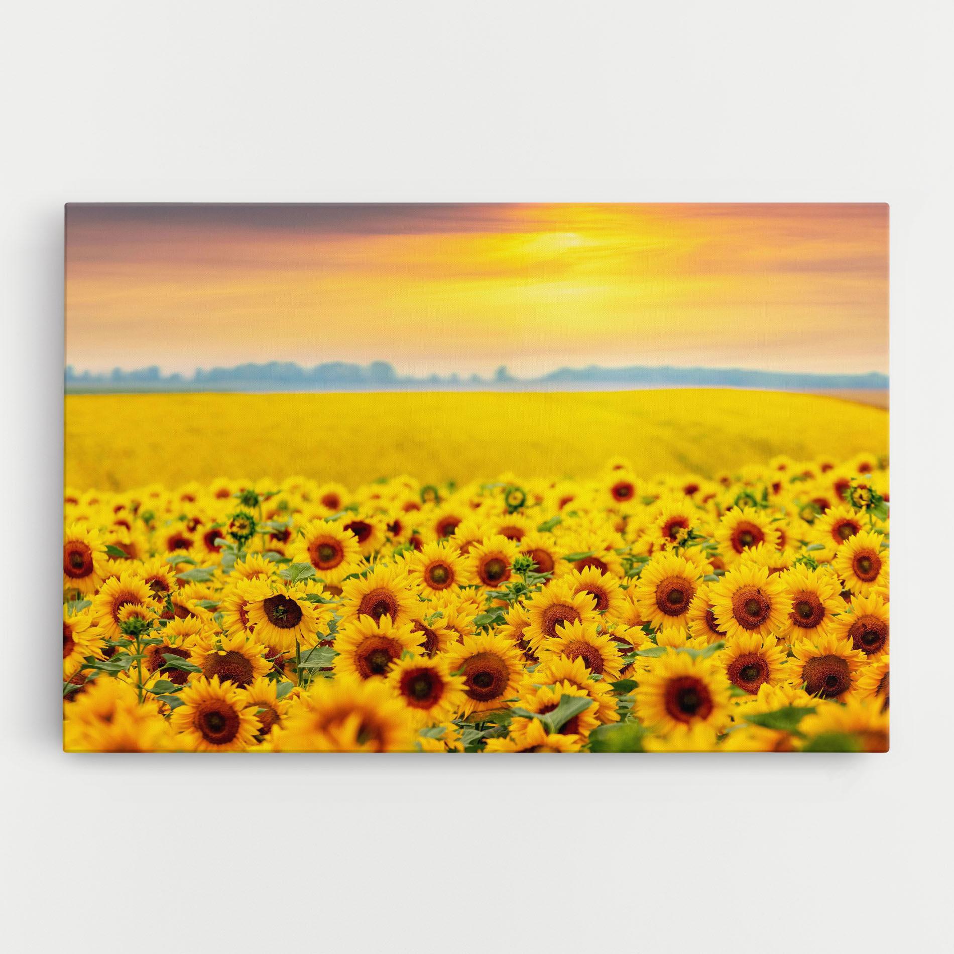 Tablou Canvas Yellow Sunflowers mockup 0