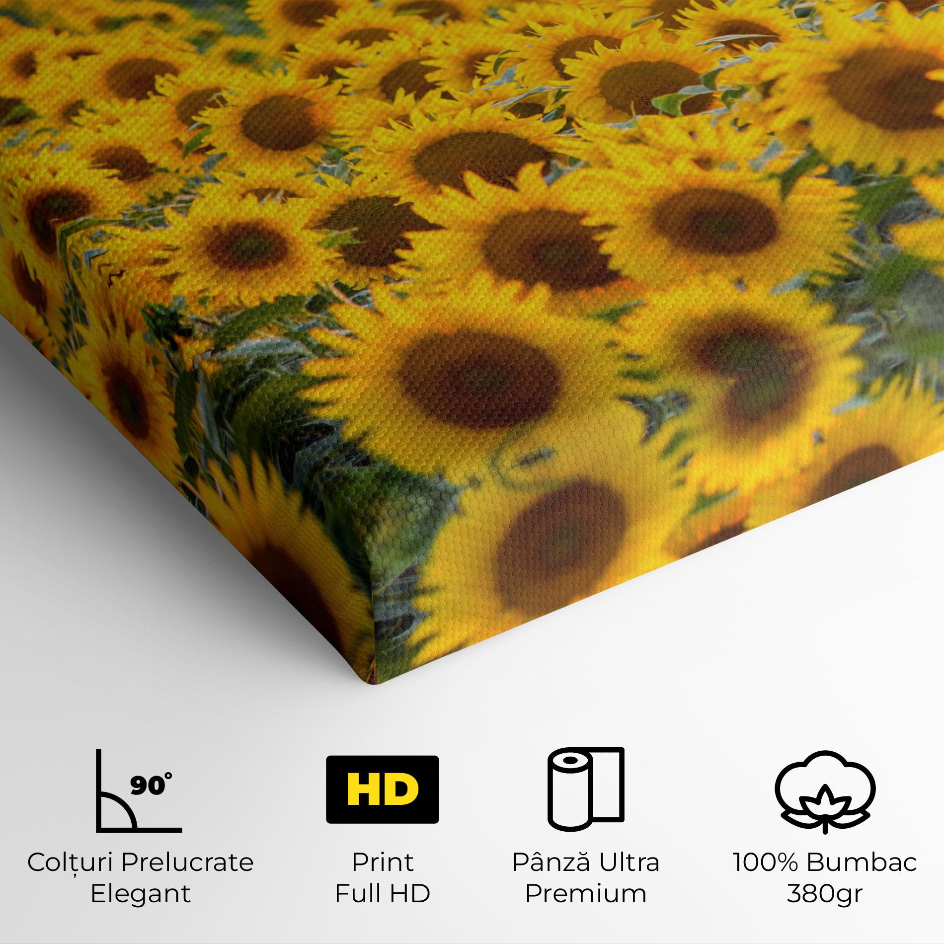 Tablou Canvas Blooming Sunflowers mockup 4