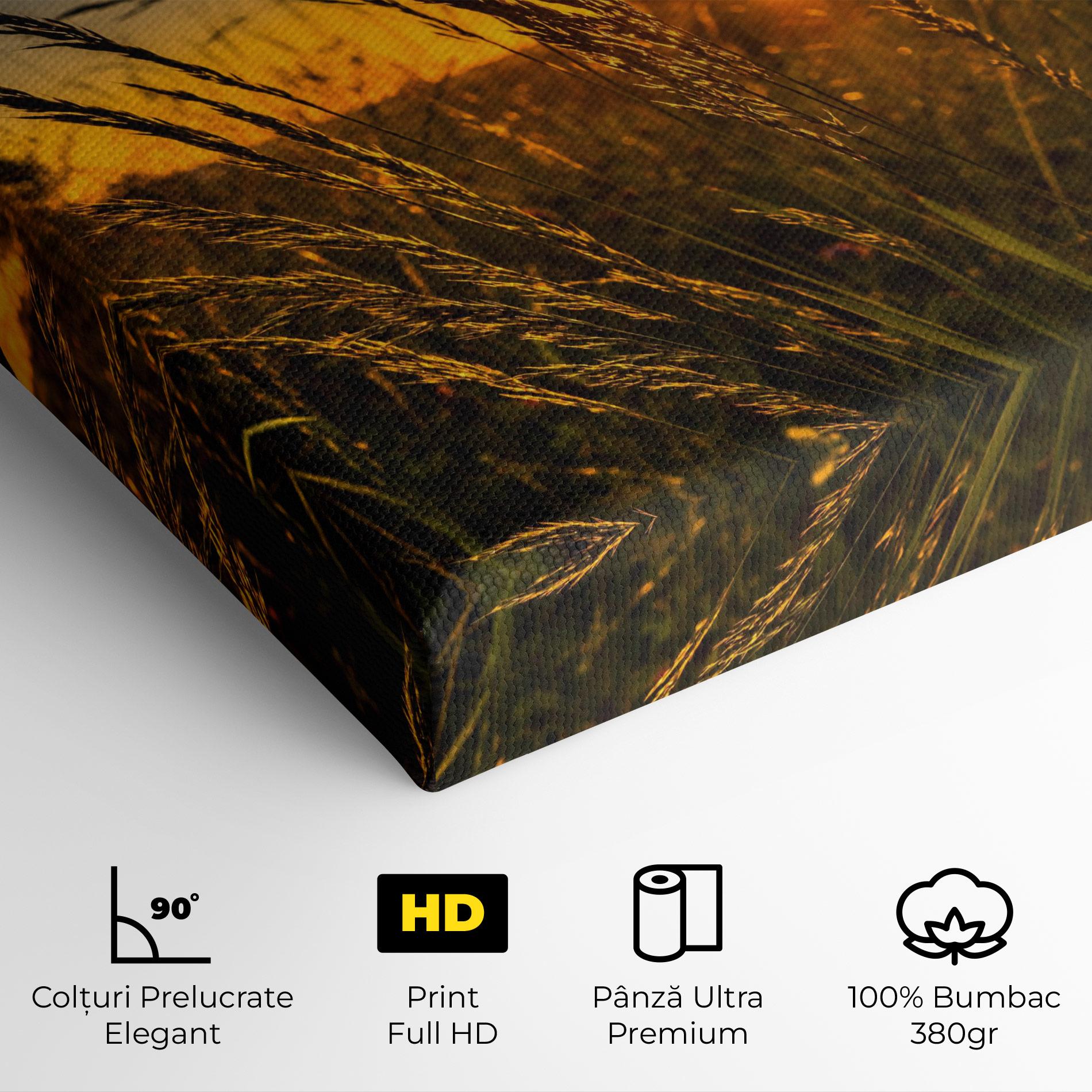 Tablou Canvas Wheat Sunset mockup 4