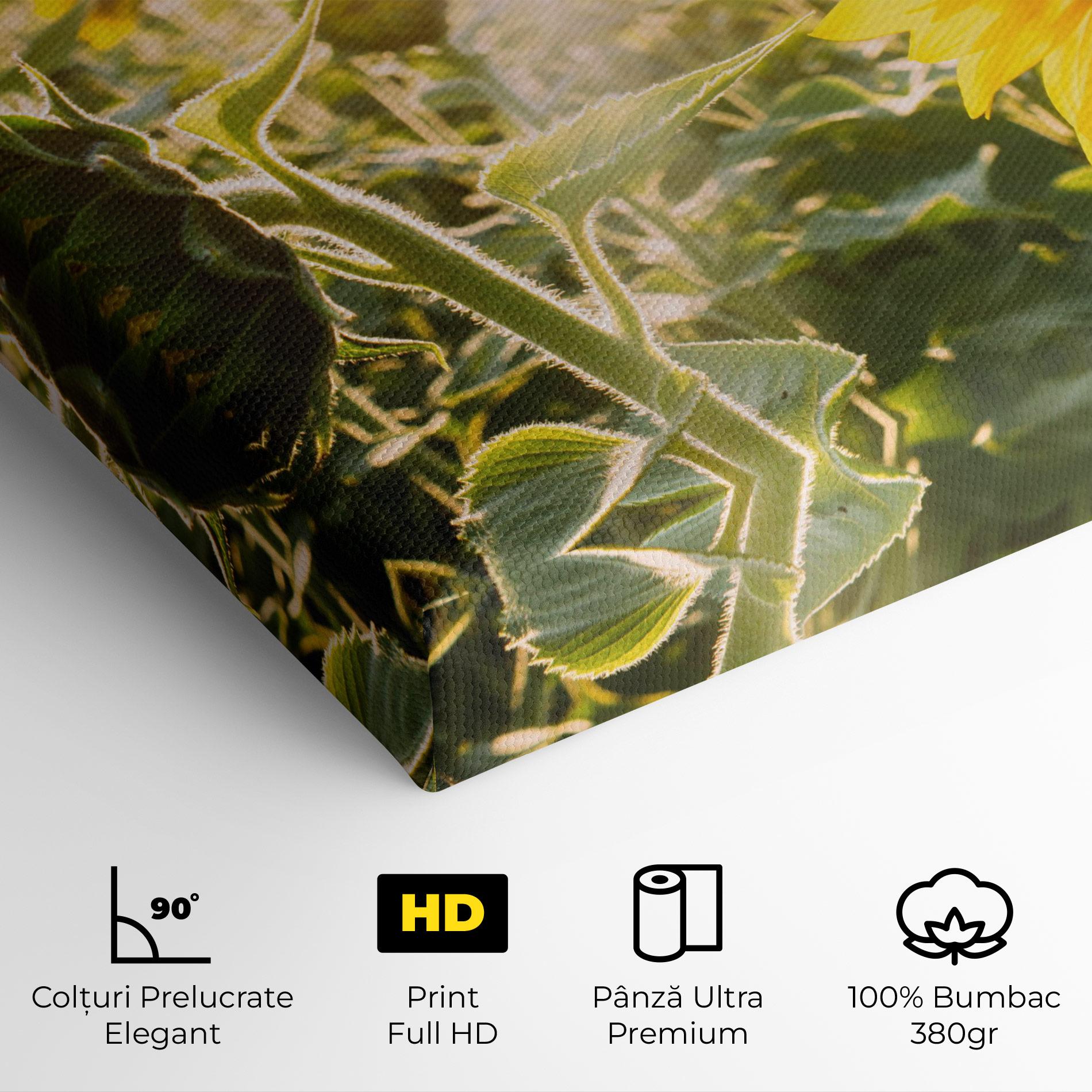 Tablou Canvas Yellow Sun Flower mockup 4