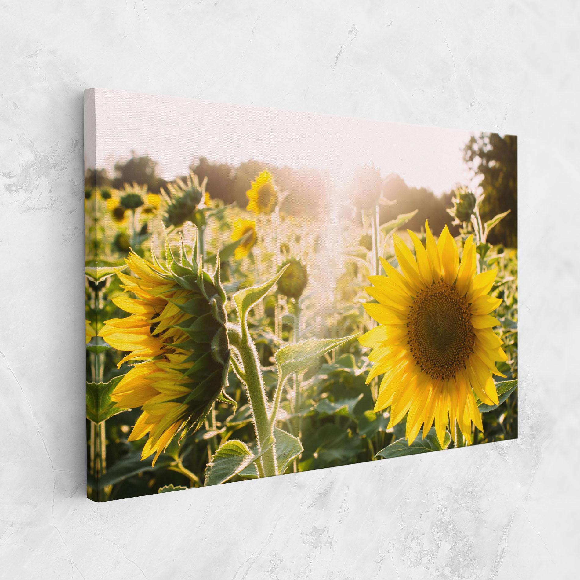 Tablou Canvas Yellow Sun Flower mockup 1