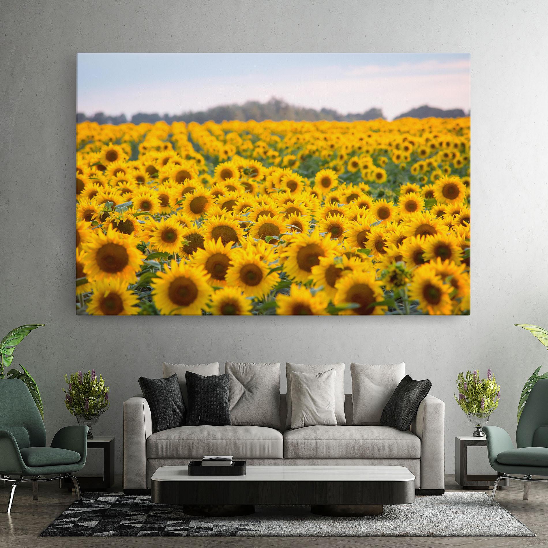 Tablou Canvas Blooming Sunflowers mockup 7