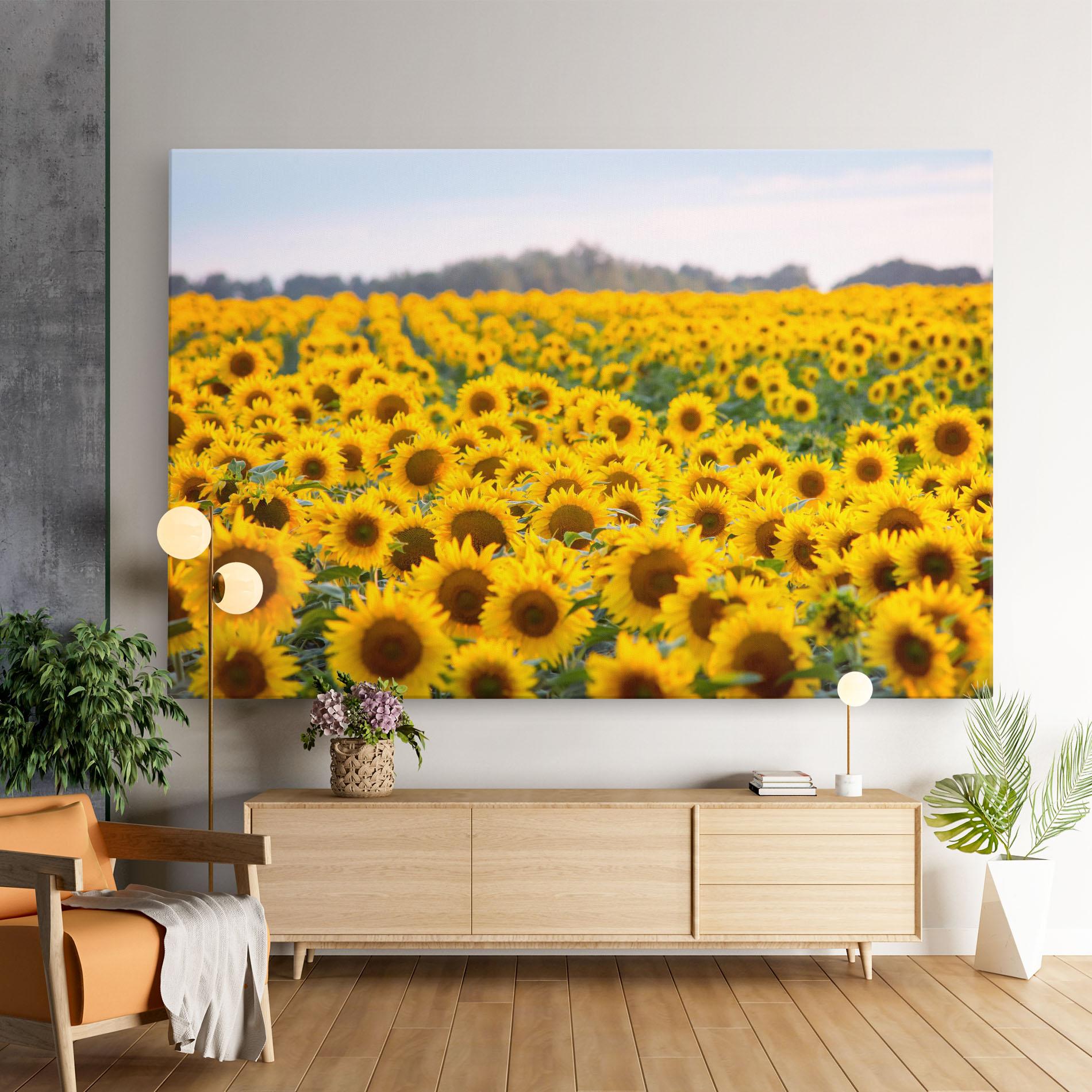 Tablou Canvas Blooming Sunflowers mockup 9