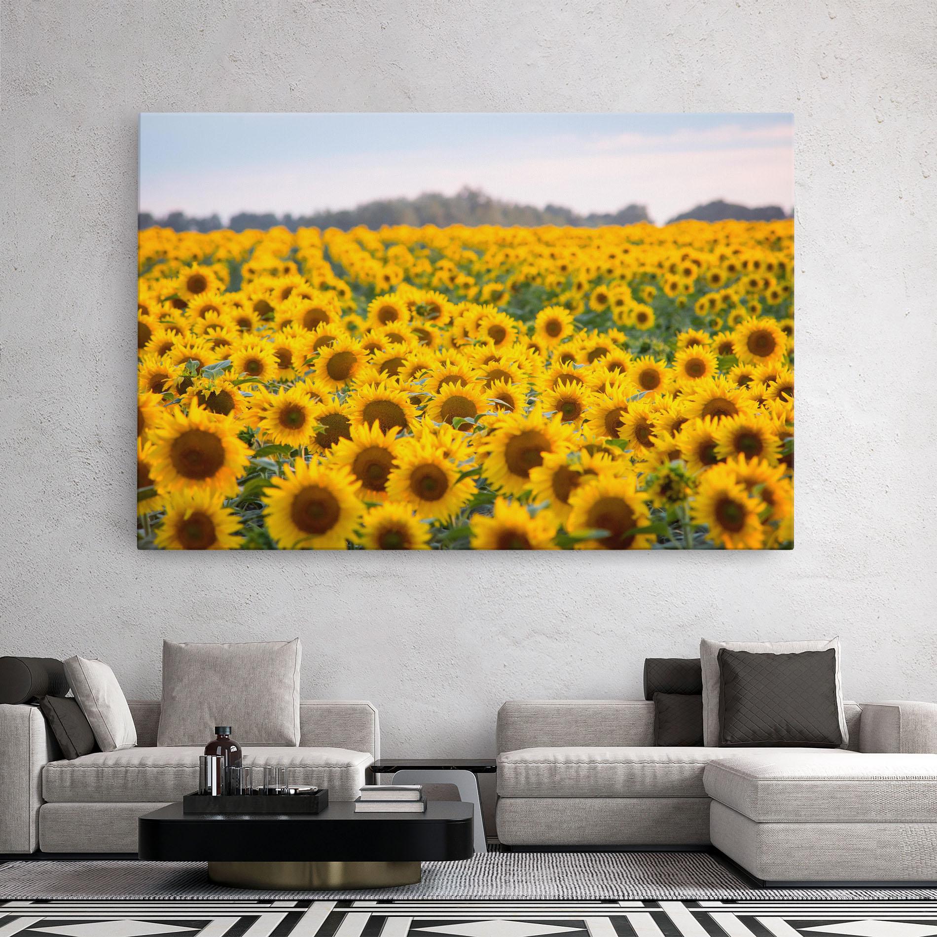 Tablou Canvas Blooming Sunflowers mockup 2