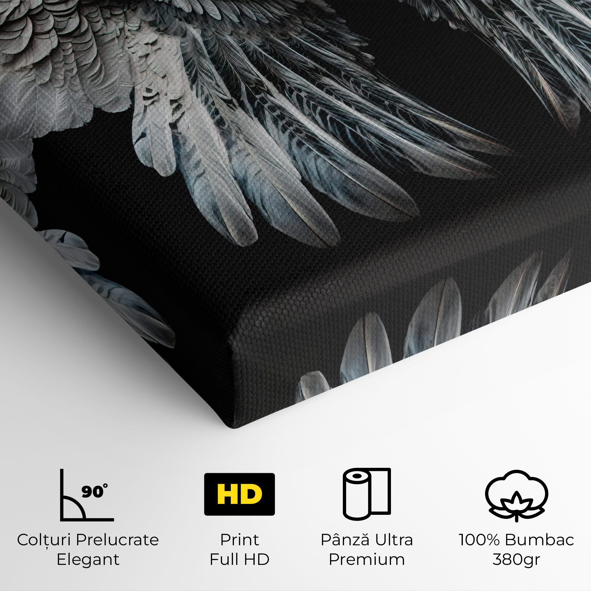 Big Angel Wings mockup 4