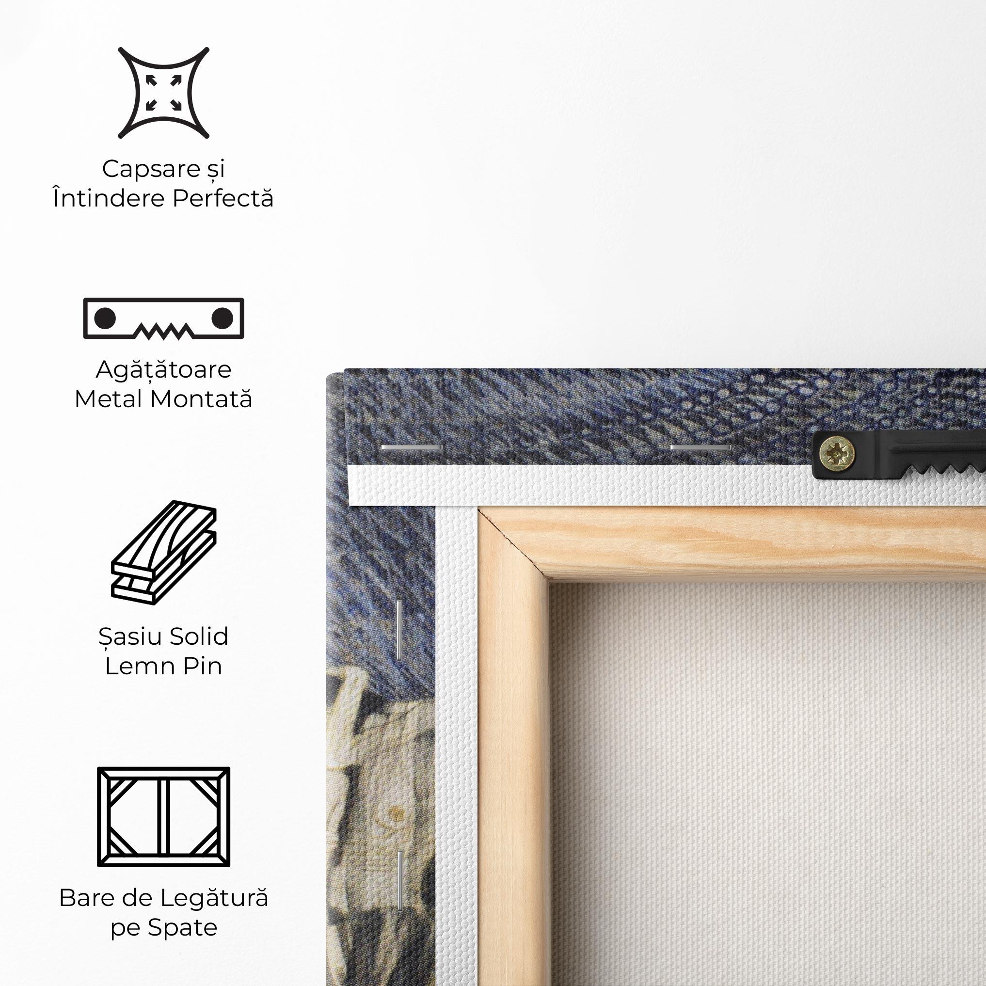 Tablou Canvas The Hostile Powers mockup 5