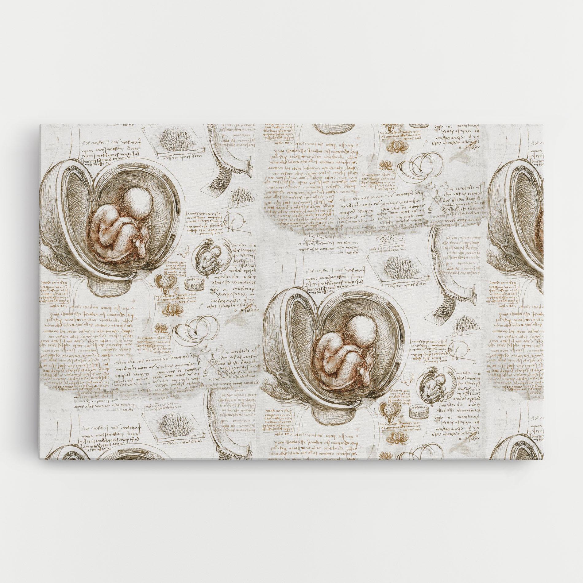 Tablou Canvas Leonardo Studies Of The Foetus mockup 0