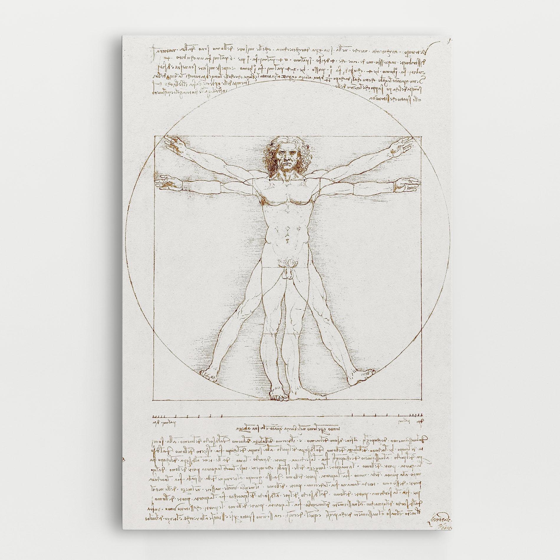 Tablou Canvas Leonardo Da Vinci's Vitruvian Man mockup 0