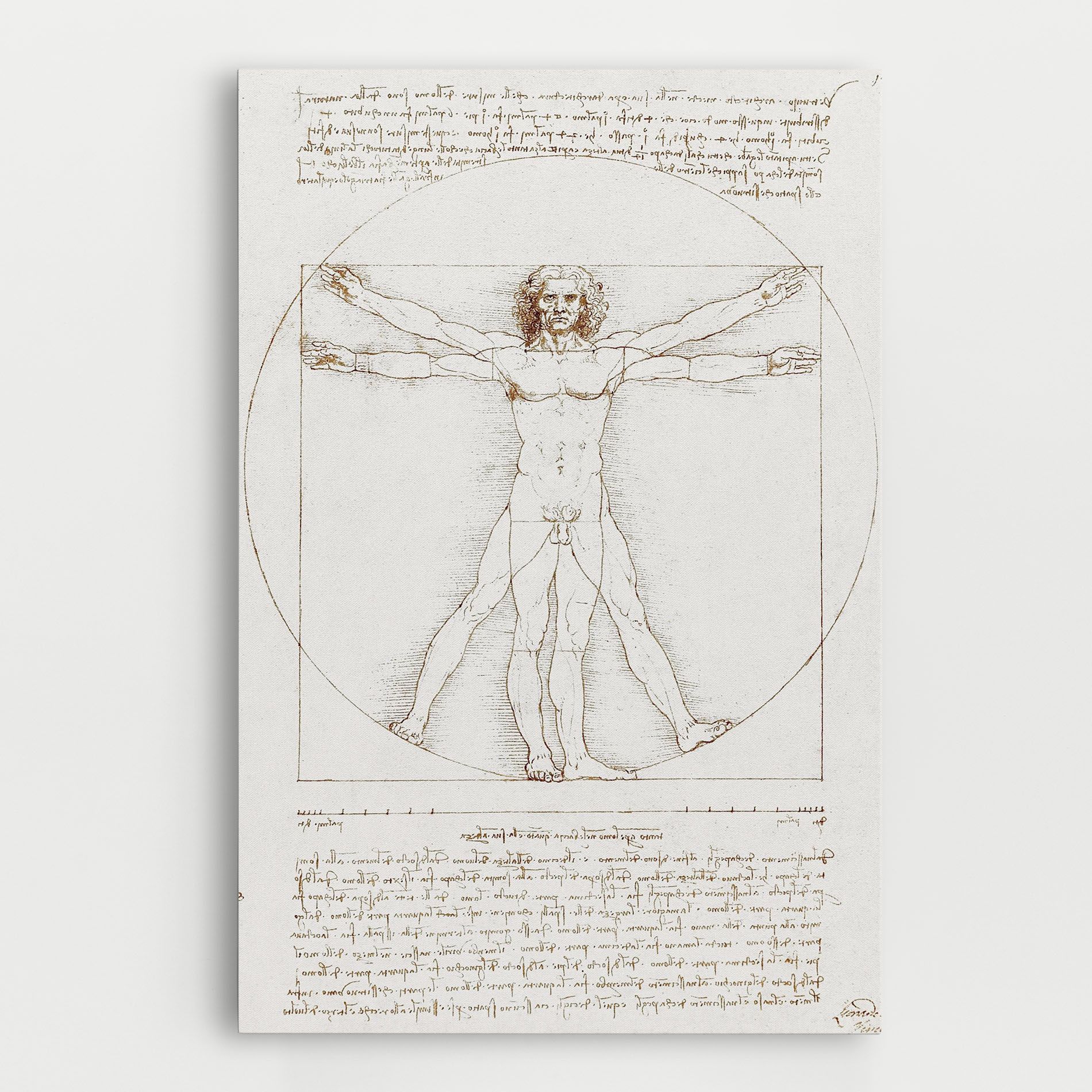Leonardo Da Vinci's Vitruvian Man mockup 0