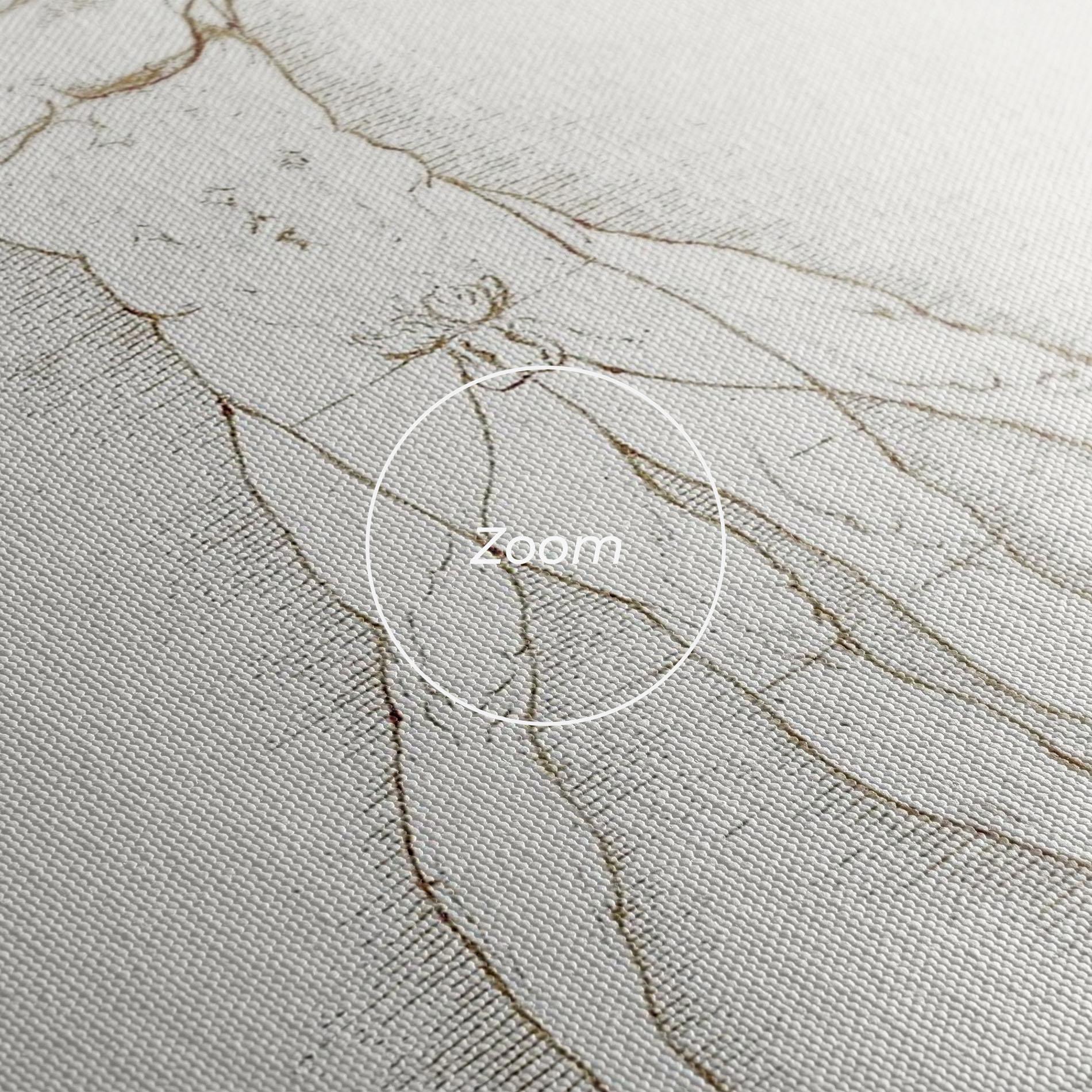 Tablou Canvas Leonardo Da Vinci's Vitruvian Man mockup 3