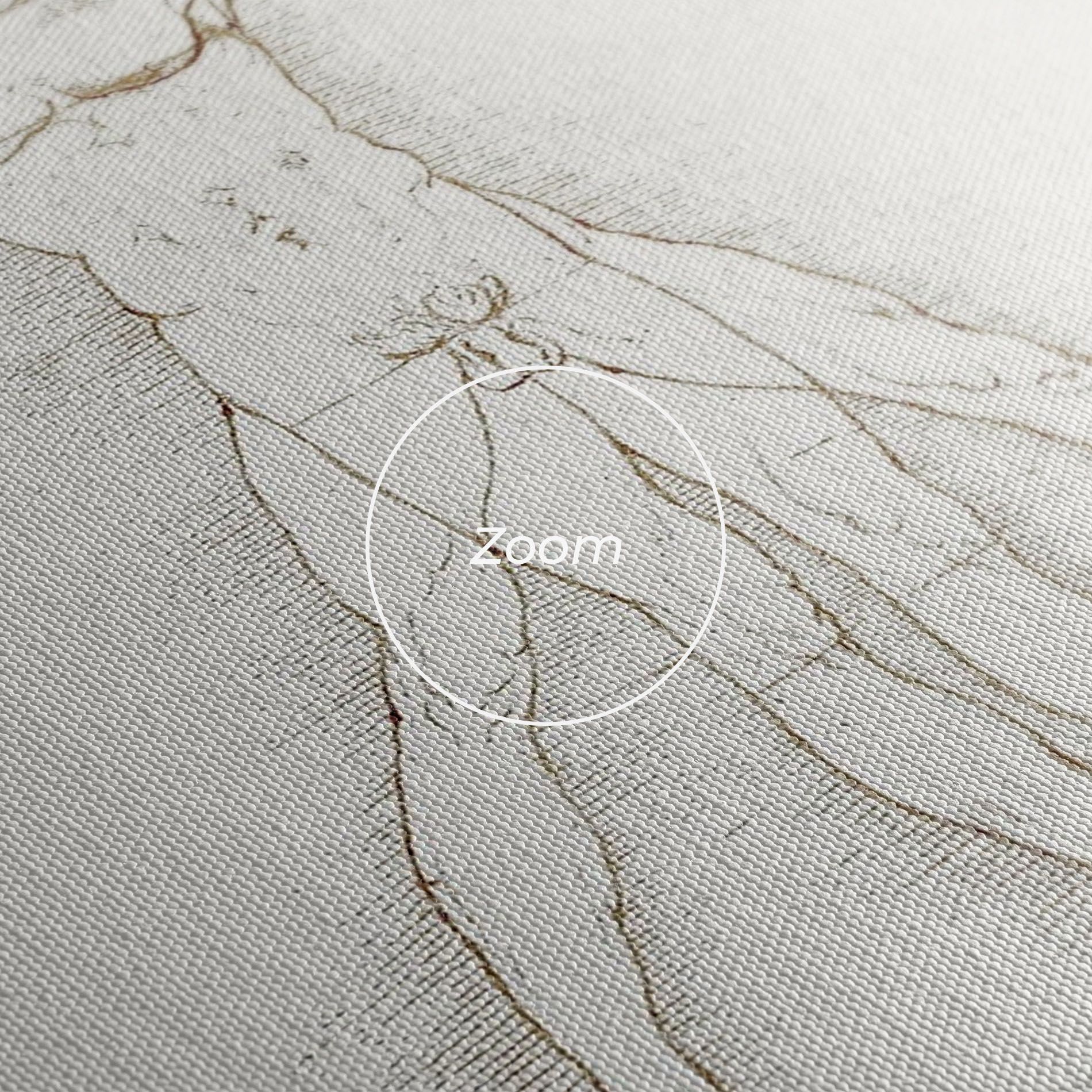 Leonardo Da Vinci's Vitruvian Man mockup 3