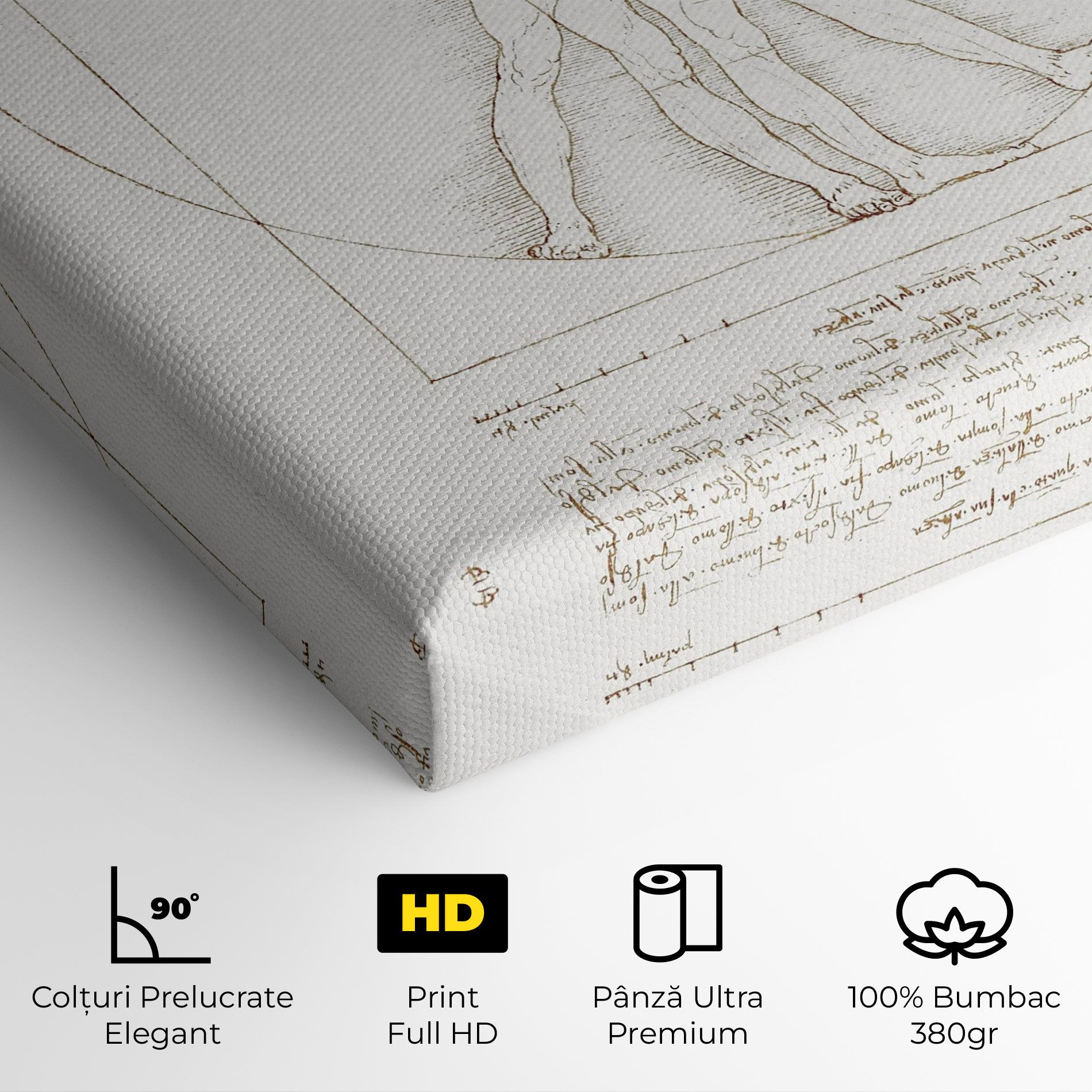 Leonardo Da Vinci's Vitruvian Man mockup 4