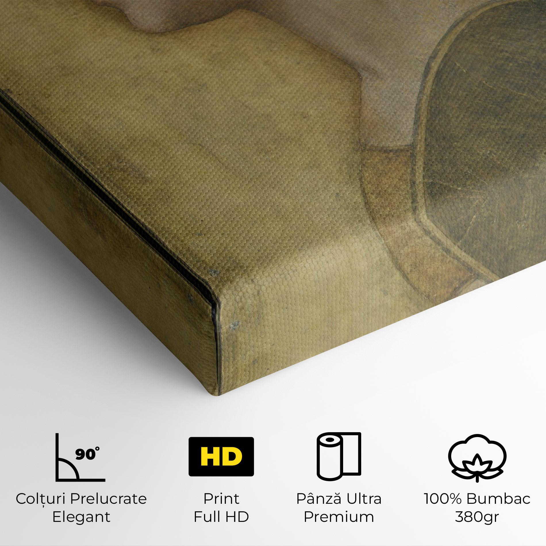 Tablou Canvas Profile Of A Young Fiancee Da Vinci mockup 4