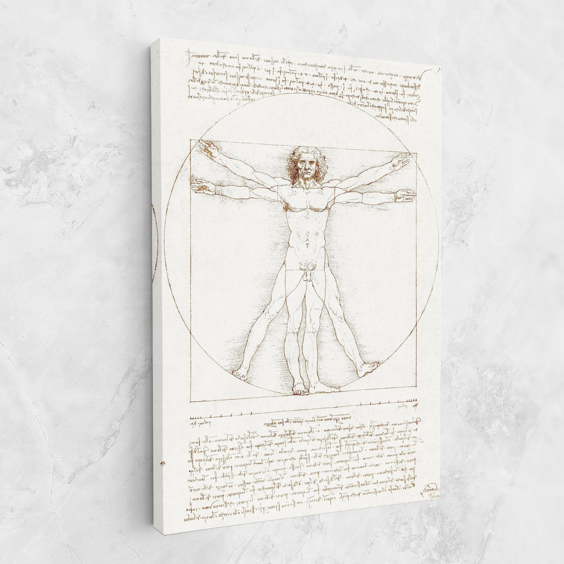 Leonardo Da Vinci's Vitruvian Man mockup 1
