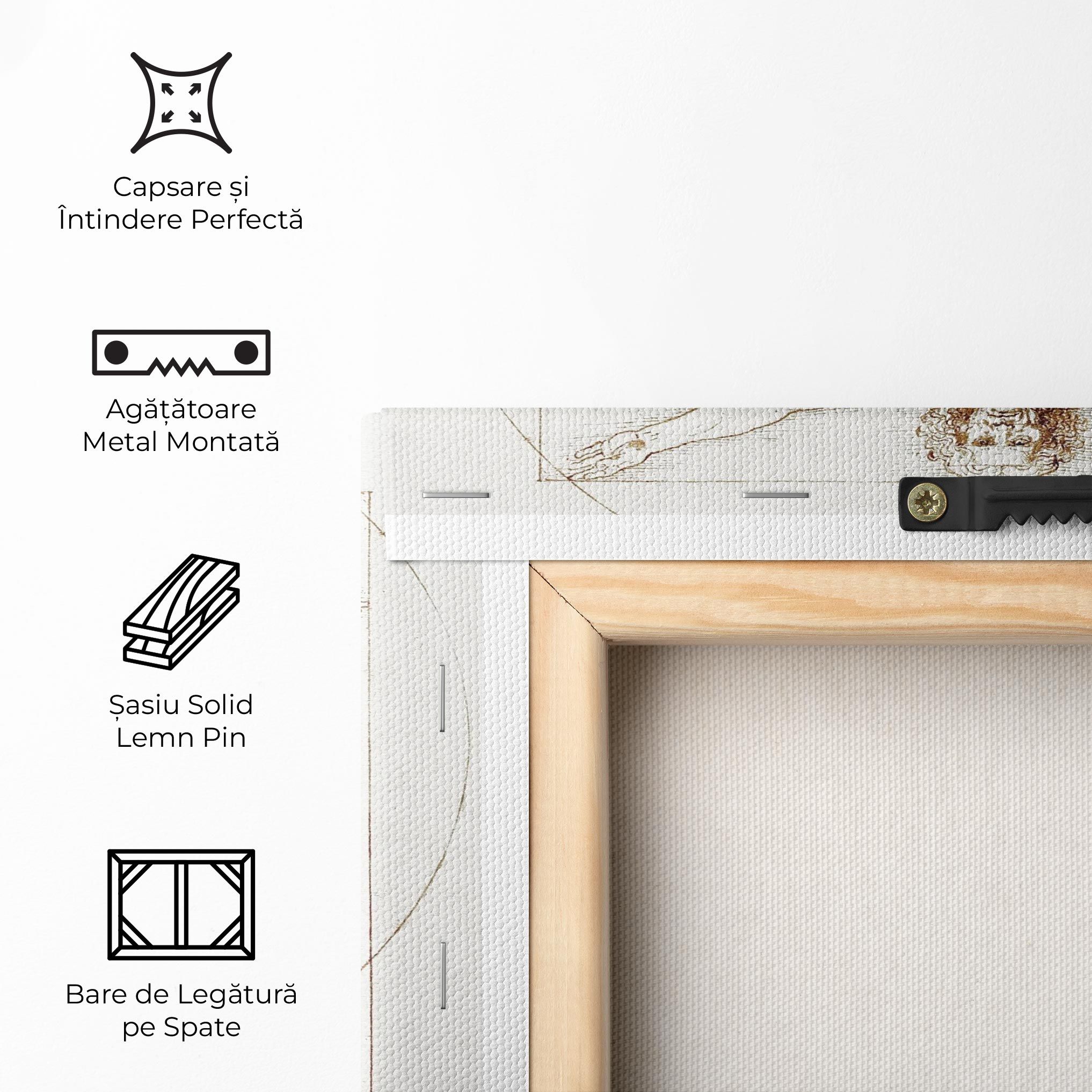 Leonardo Da Vinci's Vitruvian Man mockup 5