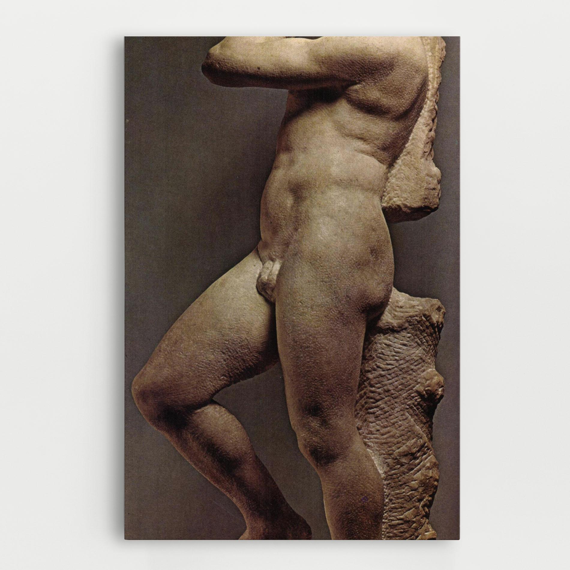 Tablou Canvas Apollino mockup 0