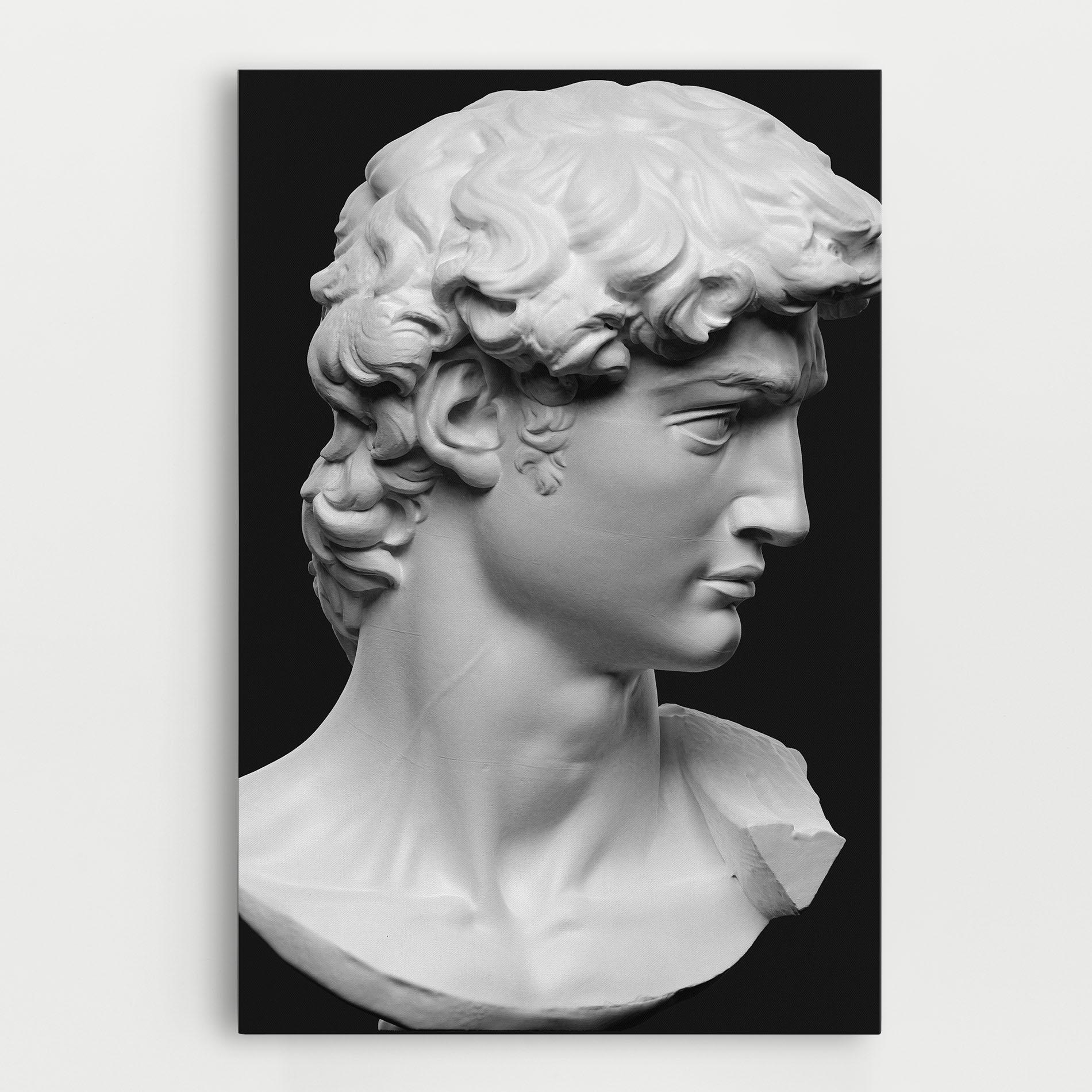 Tablou Canvas David Head mockup 0