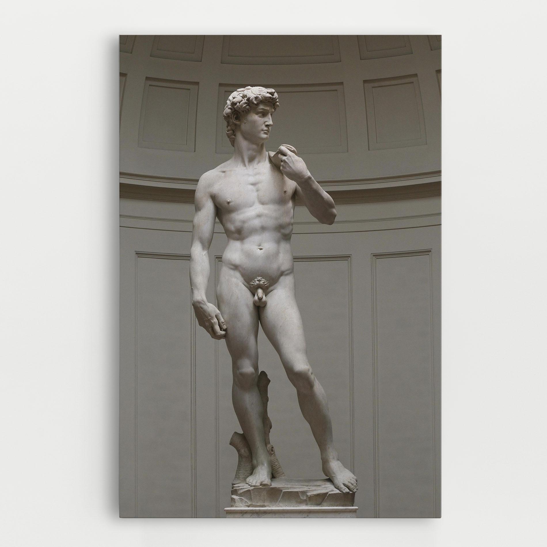 Tablou Canvas Michelangelo Statue mockup 0