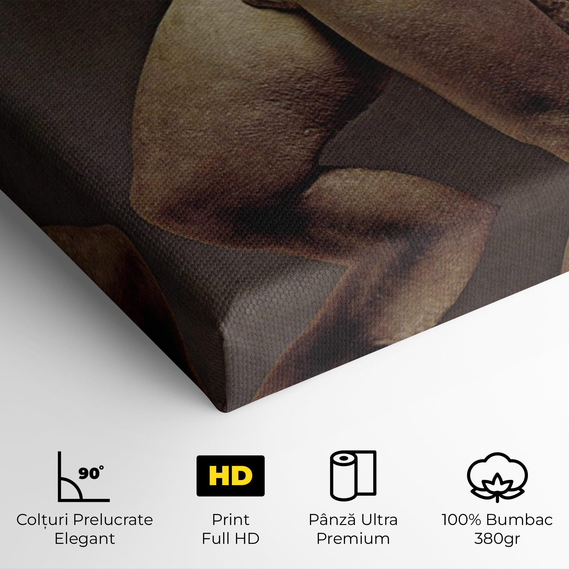 Tablou Canvas Apollino mockup 4