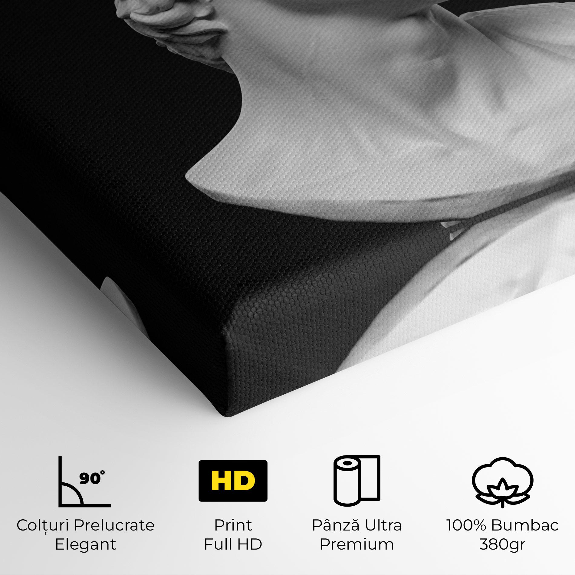 Tablou Canvas David Head mockup 4