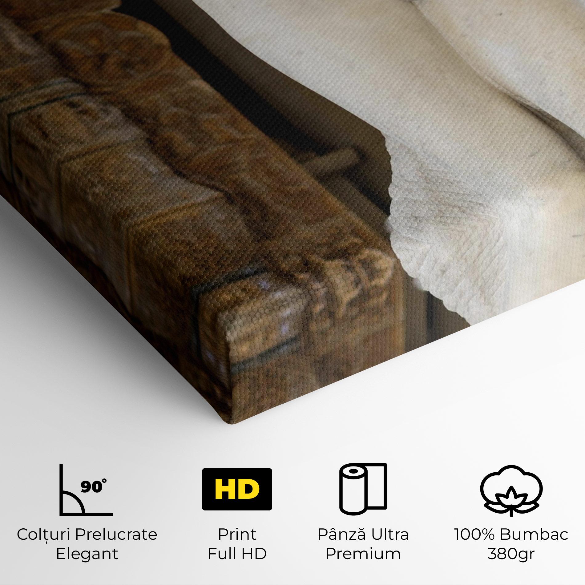 Tablou Canvas Dying Slave mockup 4