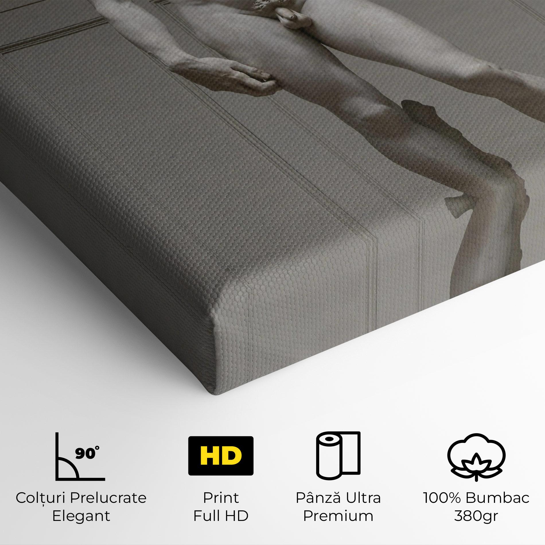 Tablou Canvas Michelangelo Statue mockup 4