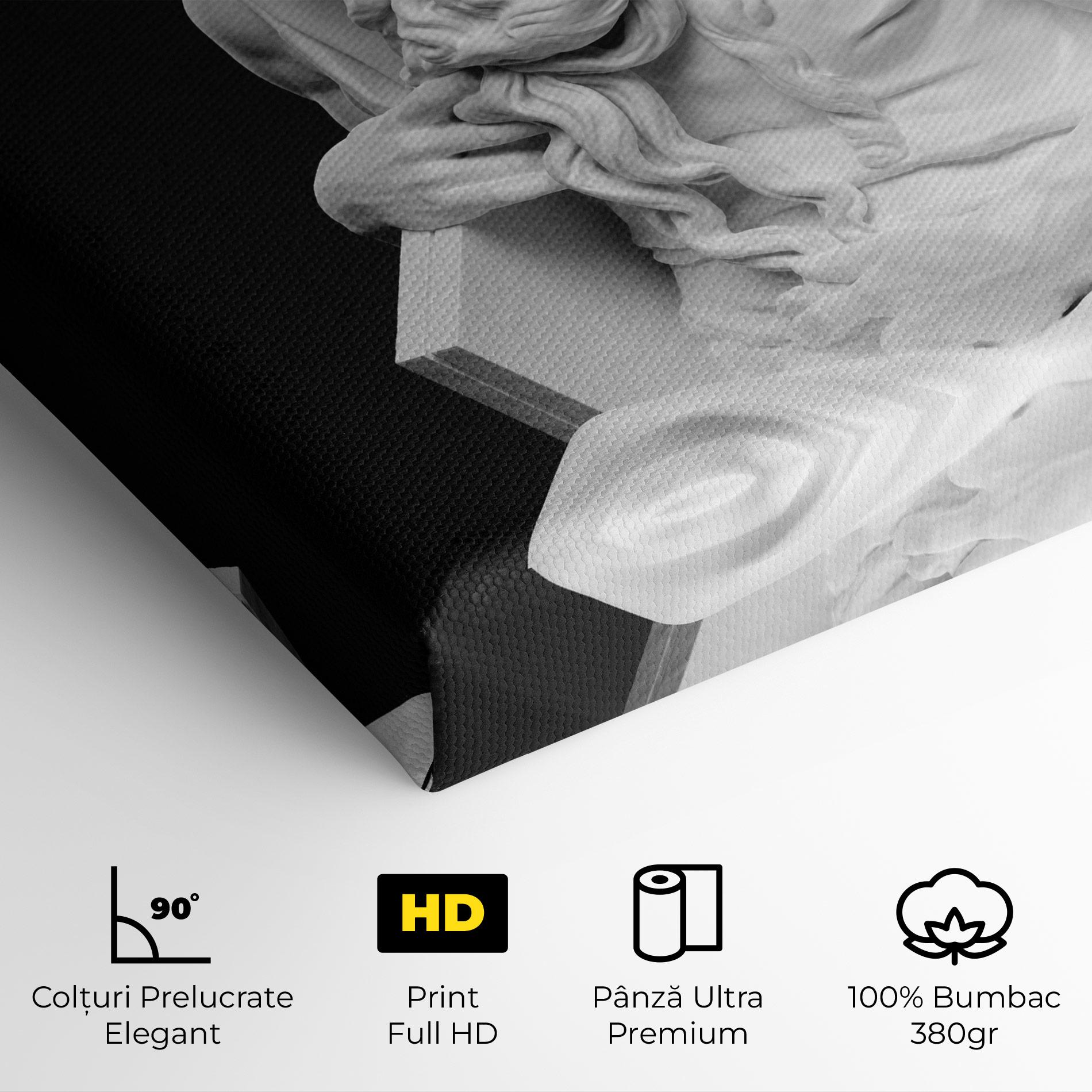 Tablou Canvas Moses Statue mockup 4