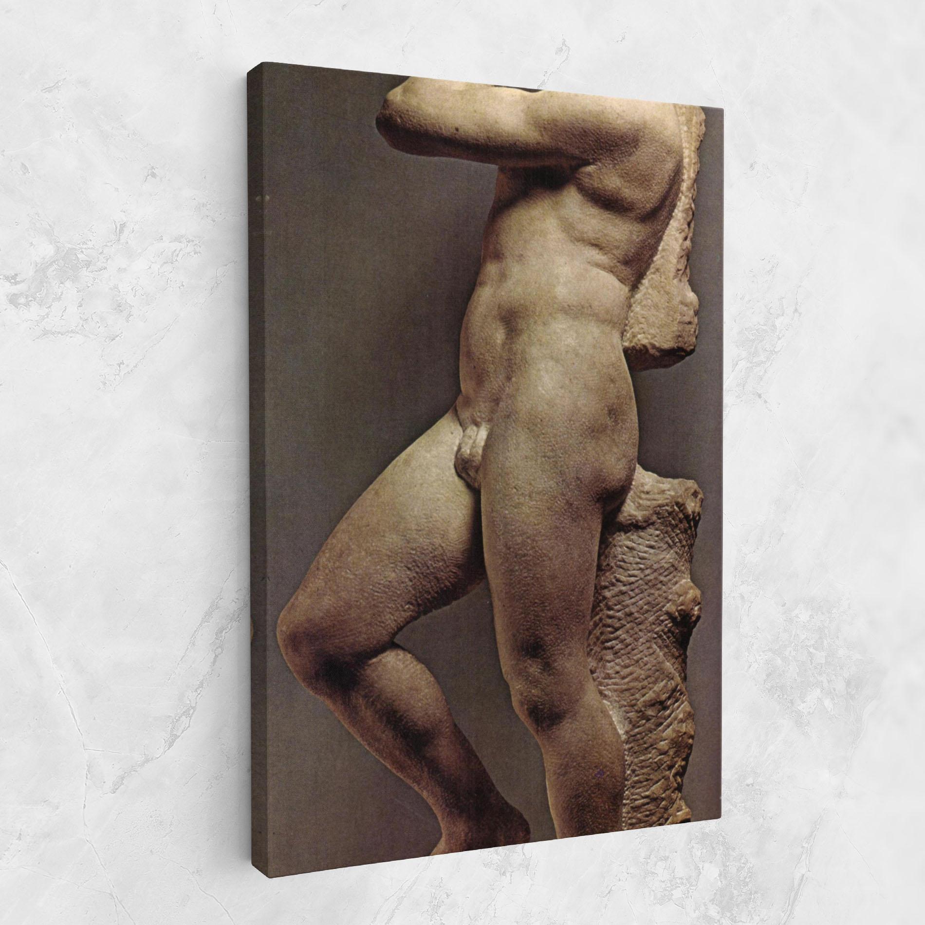 Tablou Canvas Apollino mockup 1