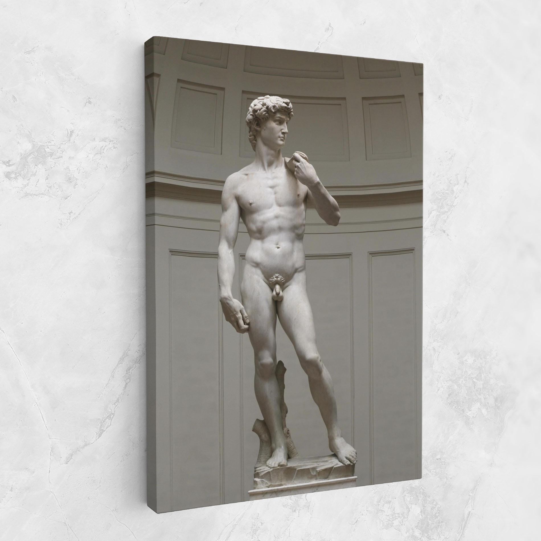 Tablou Canvas Michelangelo Statue mockup 1