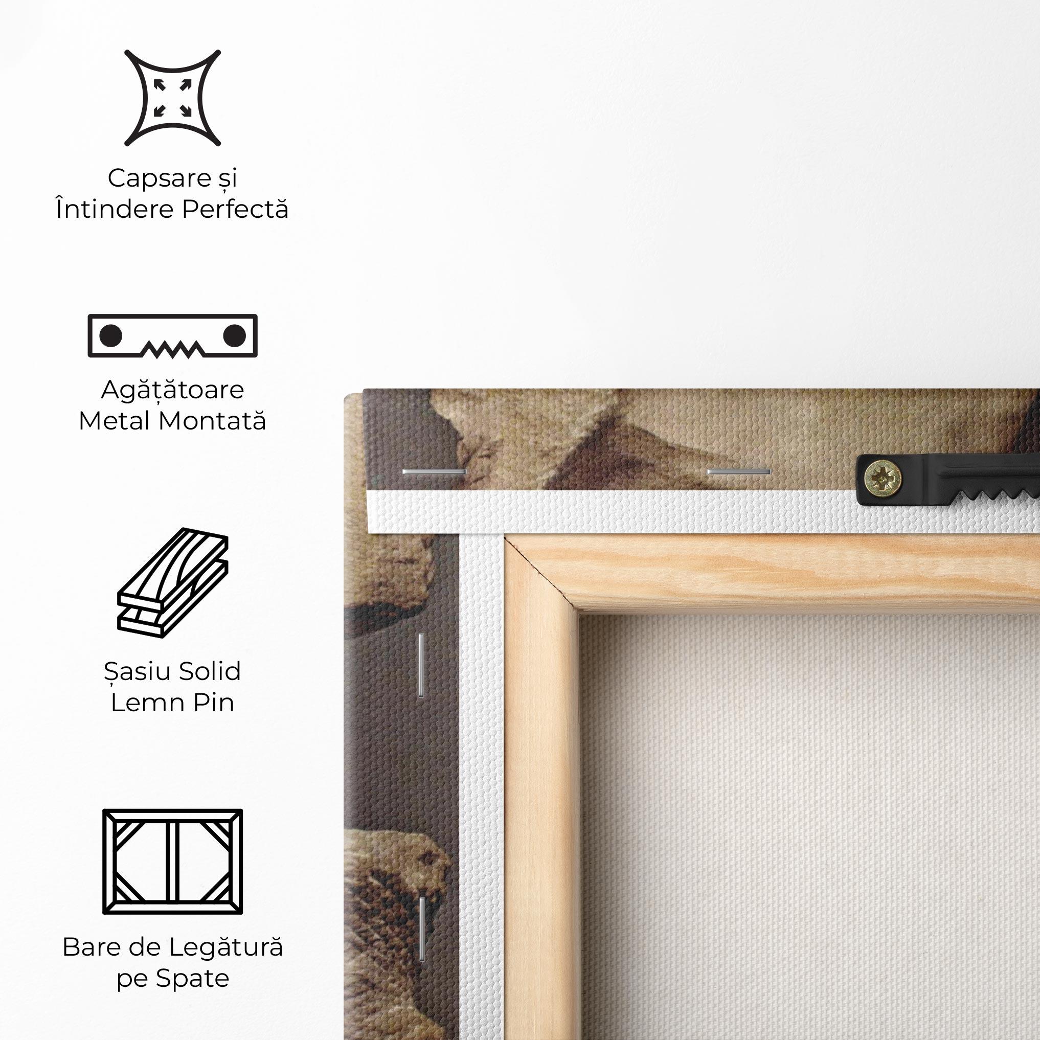 Tablou Canvas Apollino mockup 5