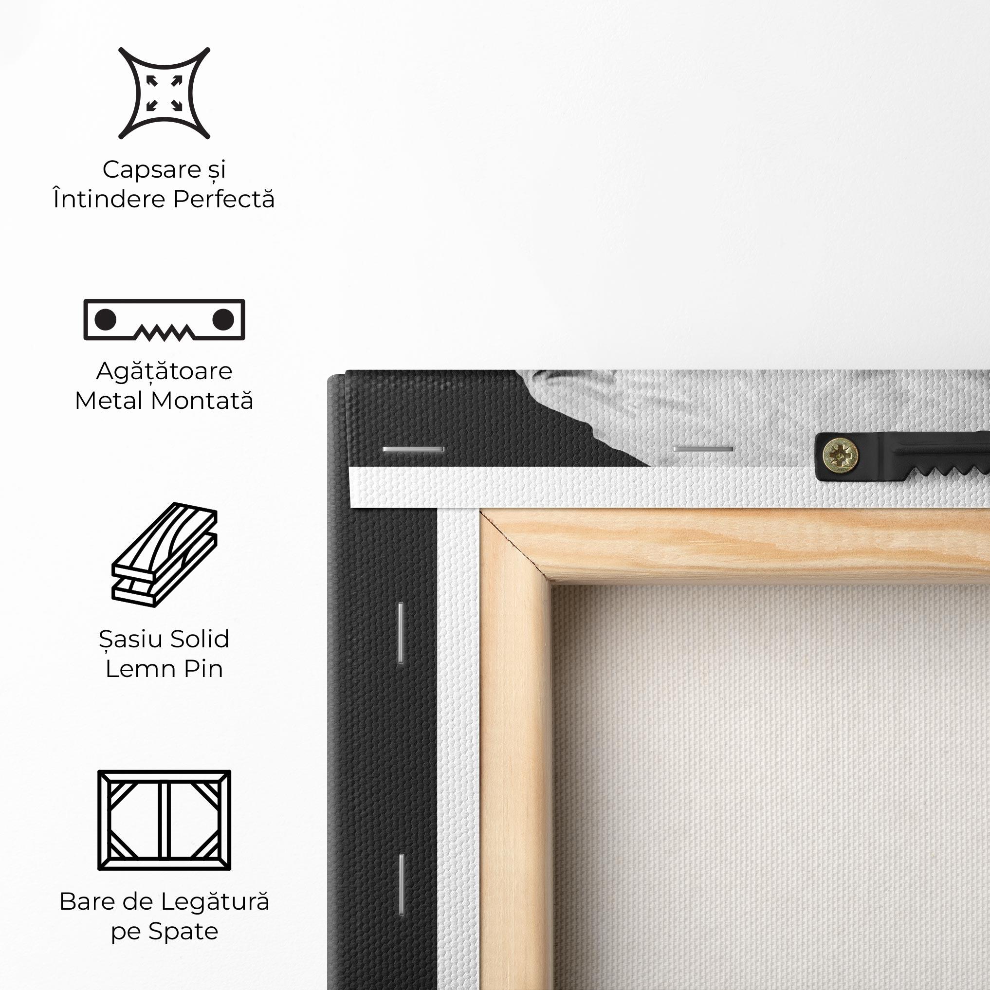 Tablou Canvas David Head mockup 5