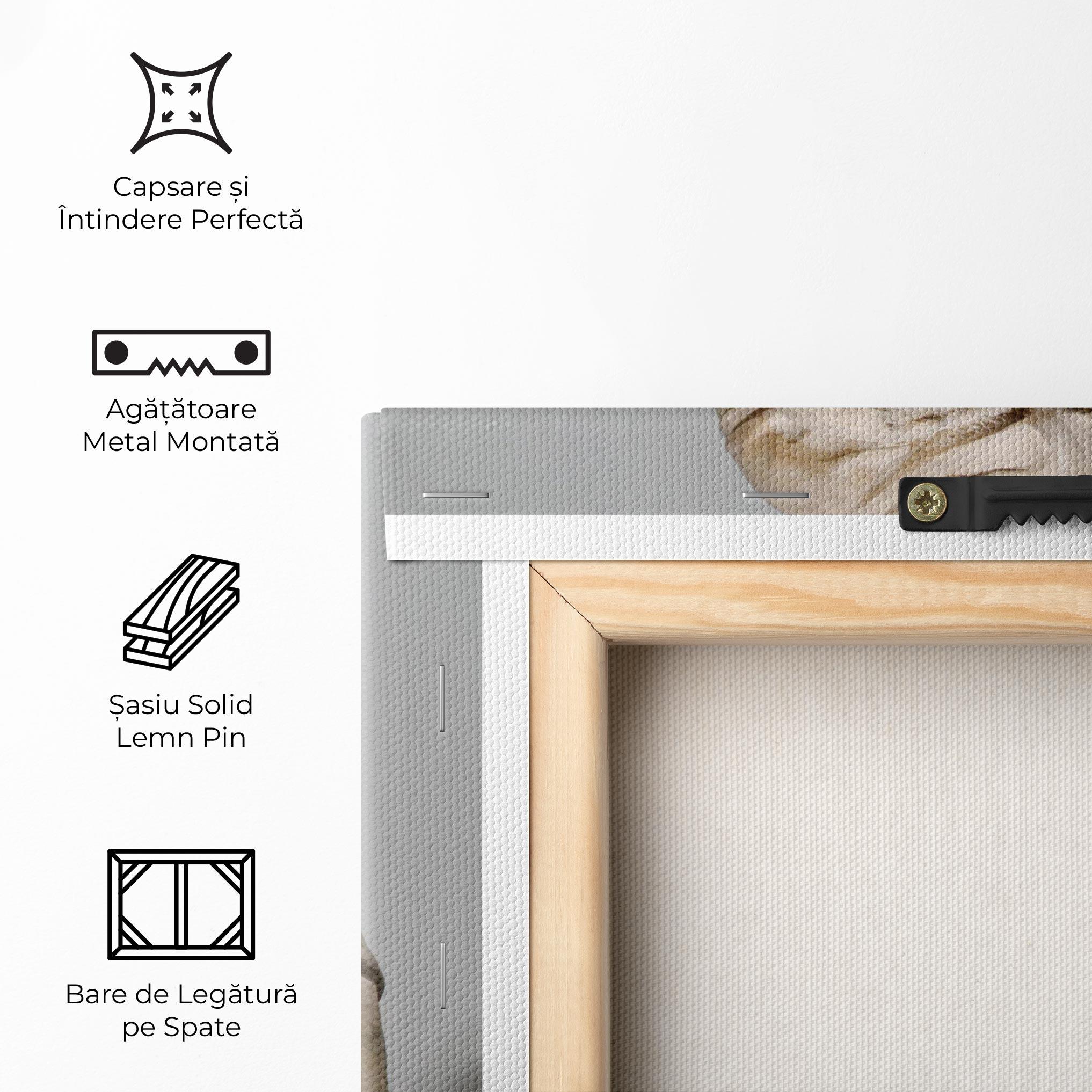 Tablou Canvas Duomo Florence mockup 5