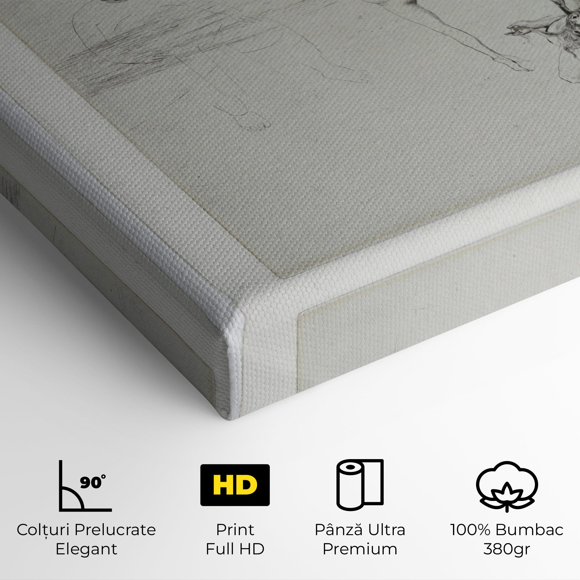 Dance Of Salome mockup 4