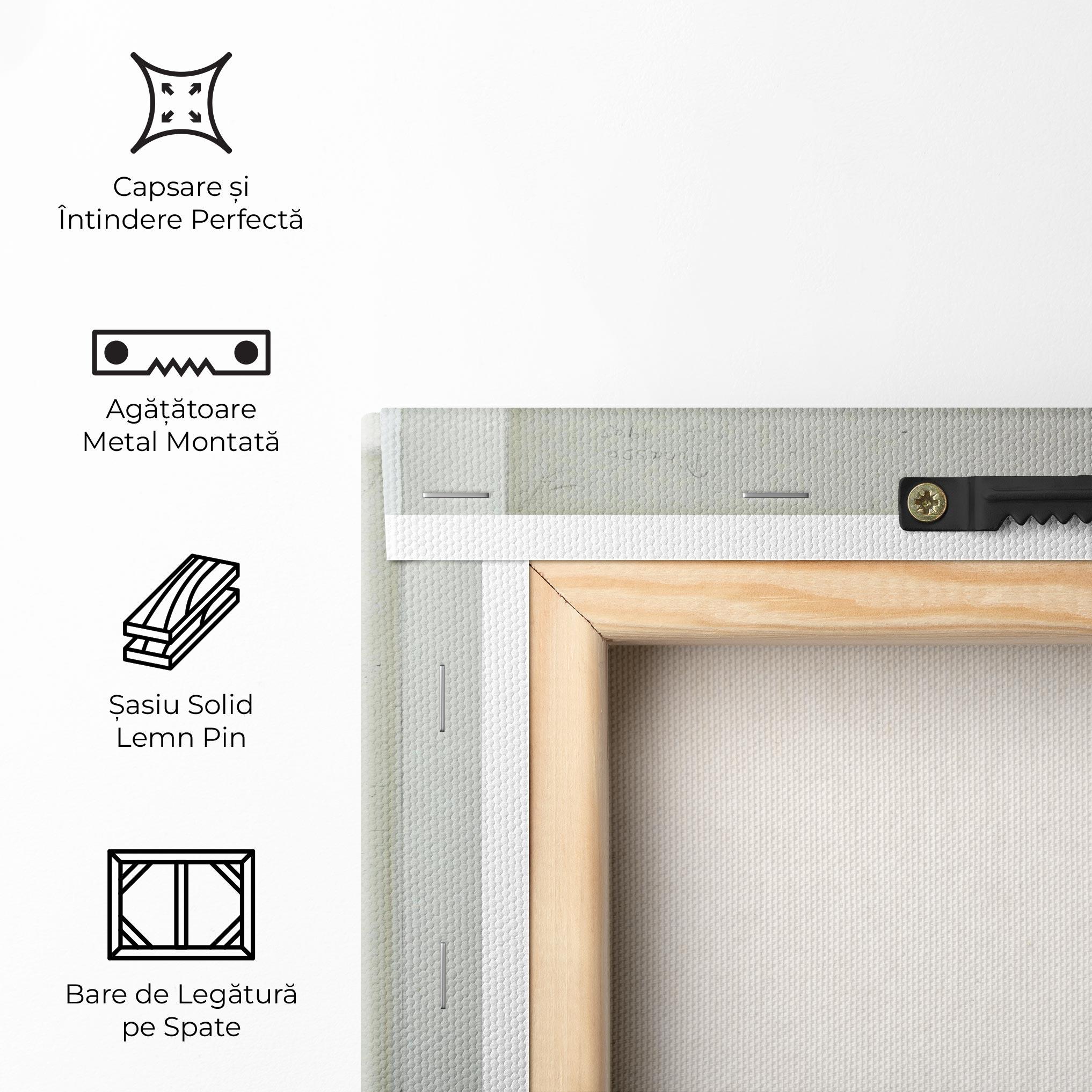 Tablou Canvas Dance Of Salome mockup 5