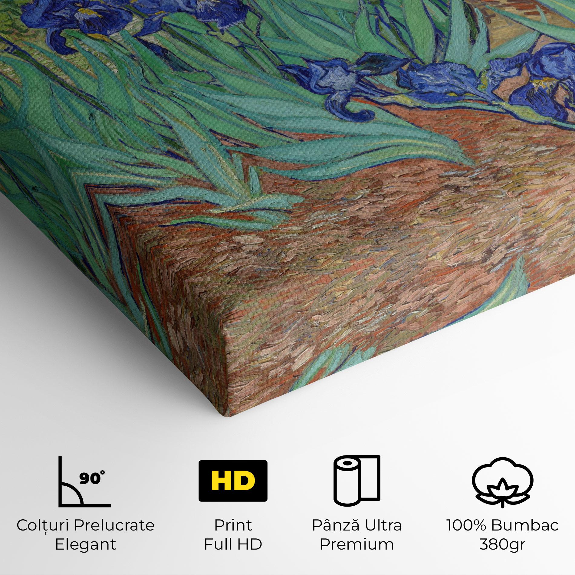 Tablou Canvas Irises Van Gogh mockup 4