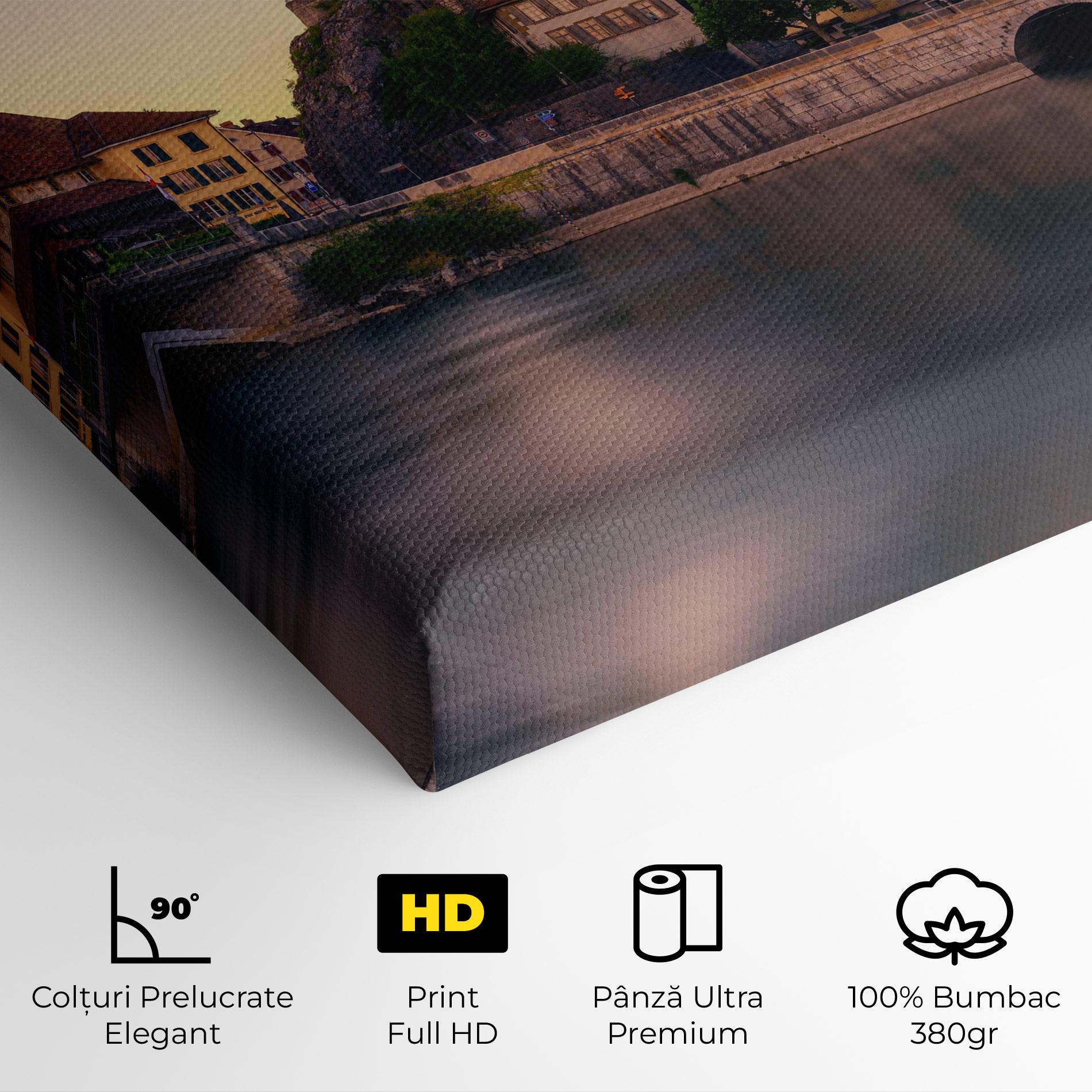 Tablou Canvas Aarburg Castle mockup 4