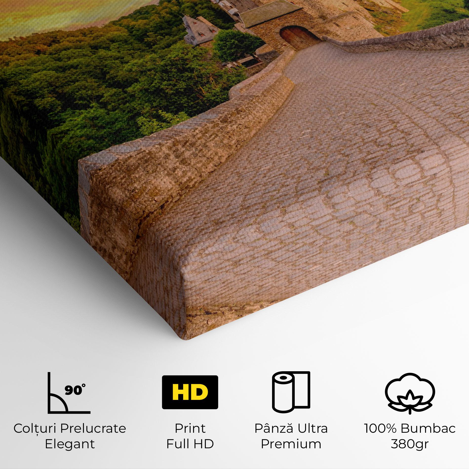 Tablou Canvas Burg Eltz Castle mockup 4