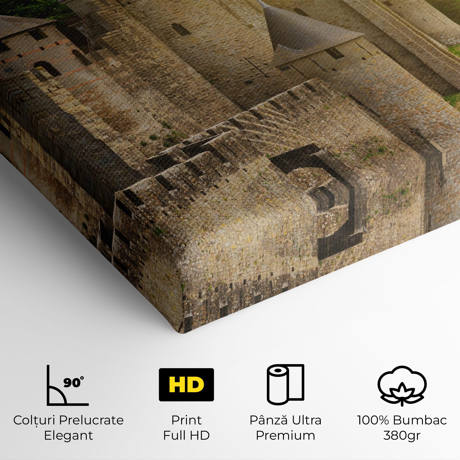 Tablou Canvas Carcassonne France mockup 4