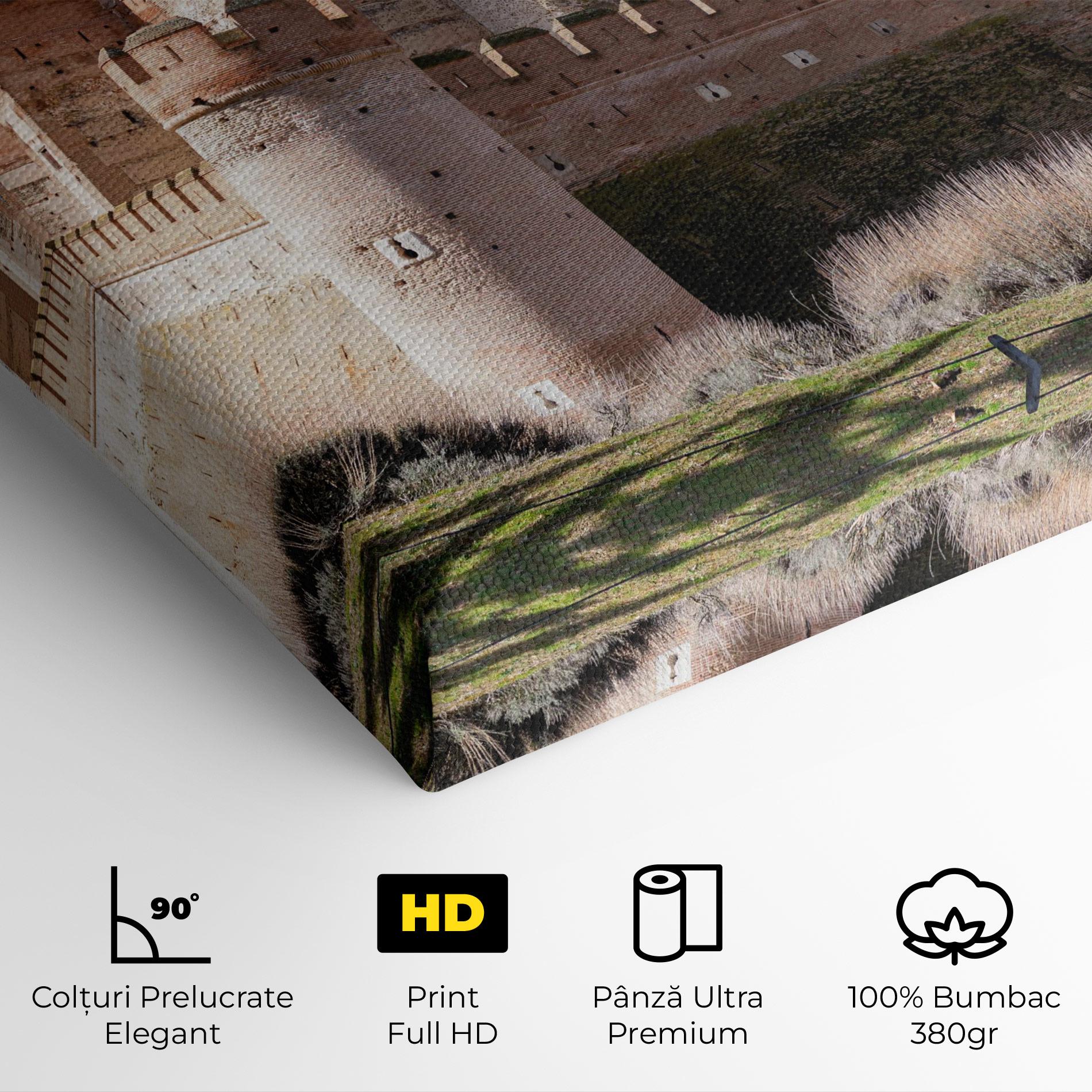 Tablou Canvas Castle La Mota mockup 4