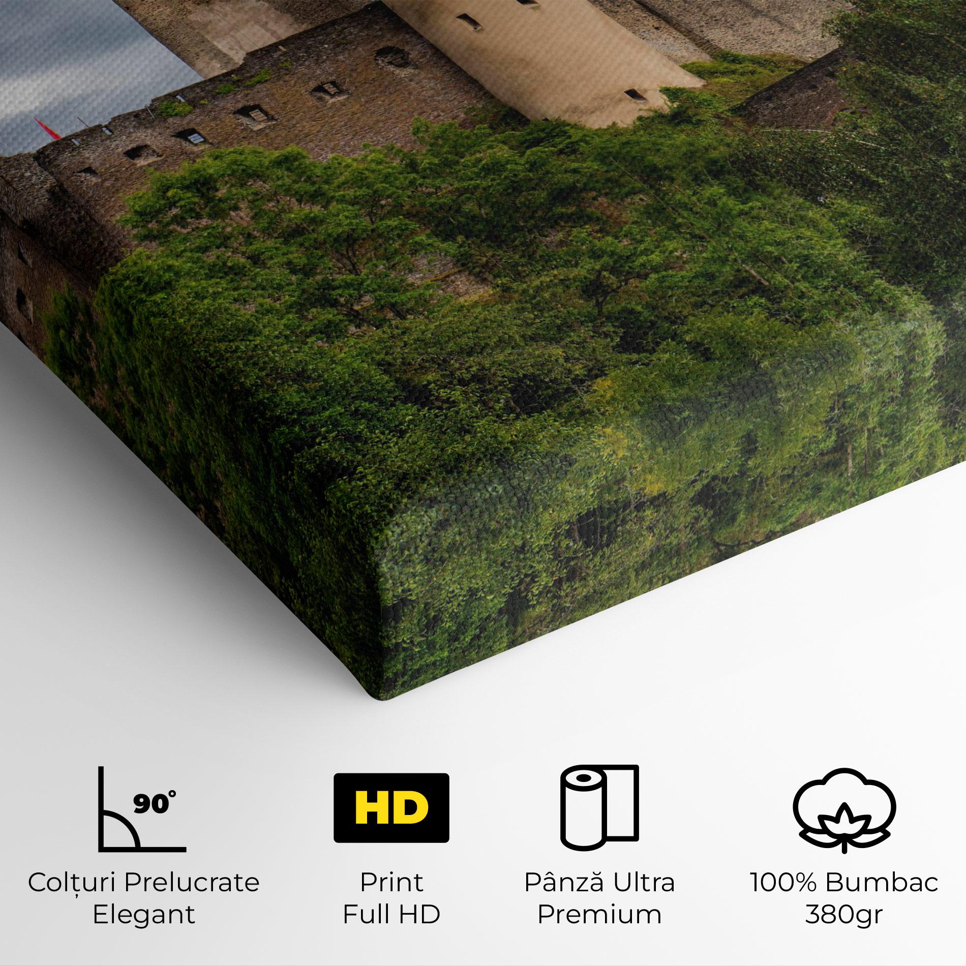 Tablou Canvas Castle Vianden mockup 4