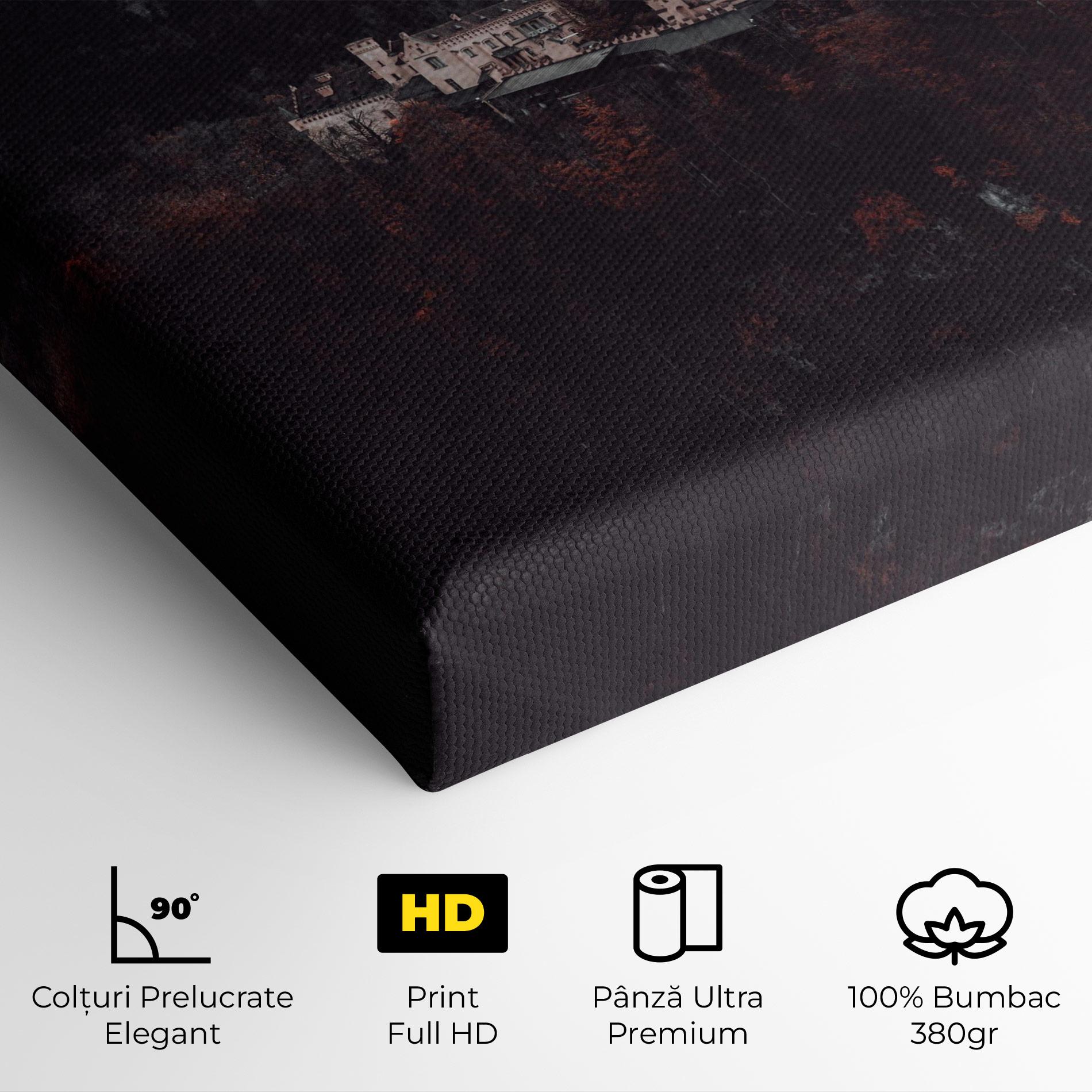 Tablou Canvas Forest Castle mockup 4