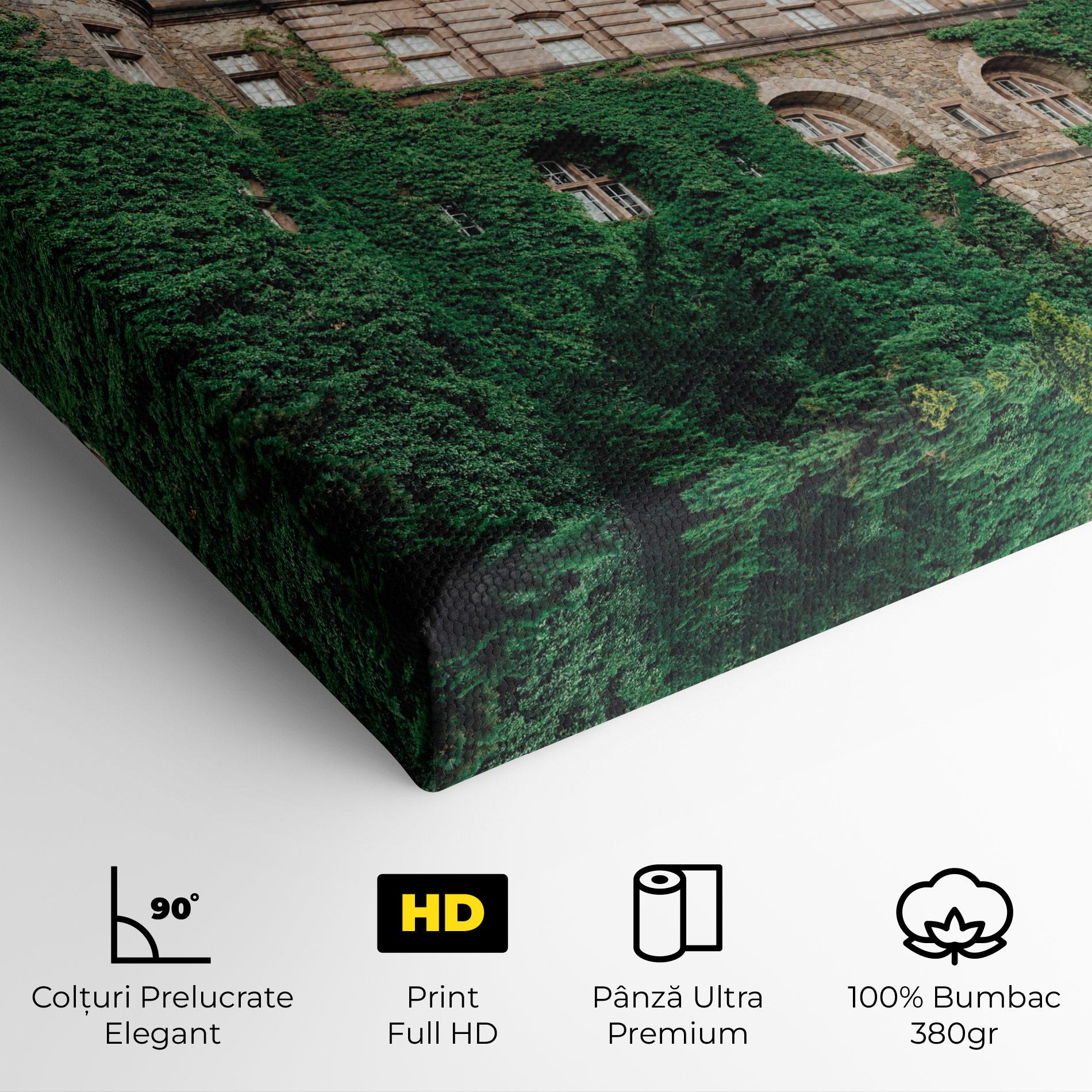 Tablou Canvas Ksiaz Swiebodzice Poland mockup 4